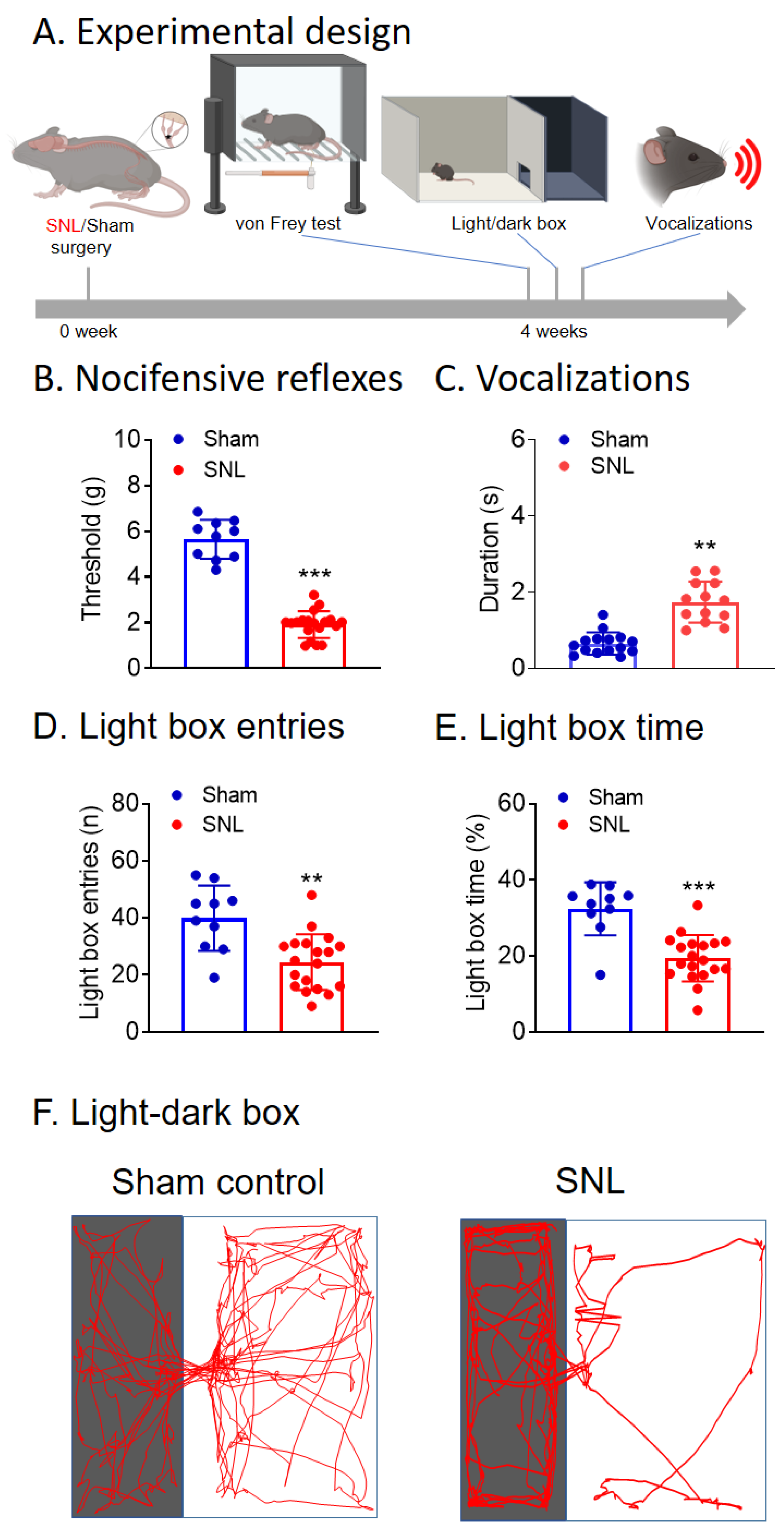 Cells 13 00705 g001 Cells 13 00705 g001