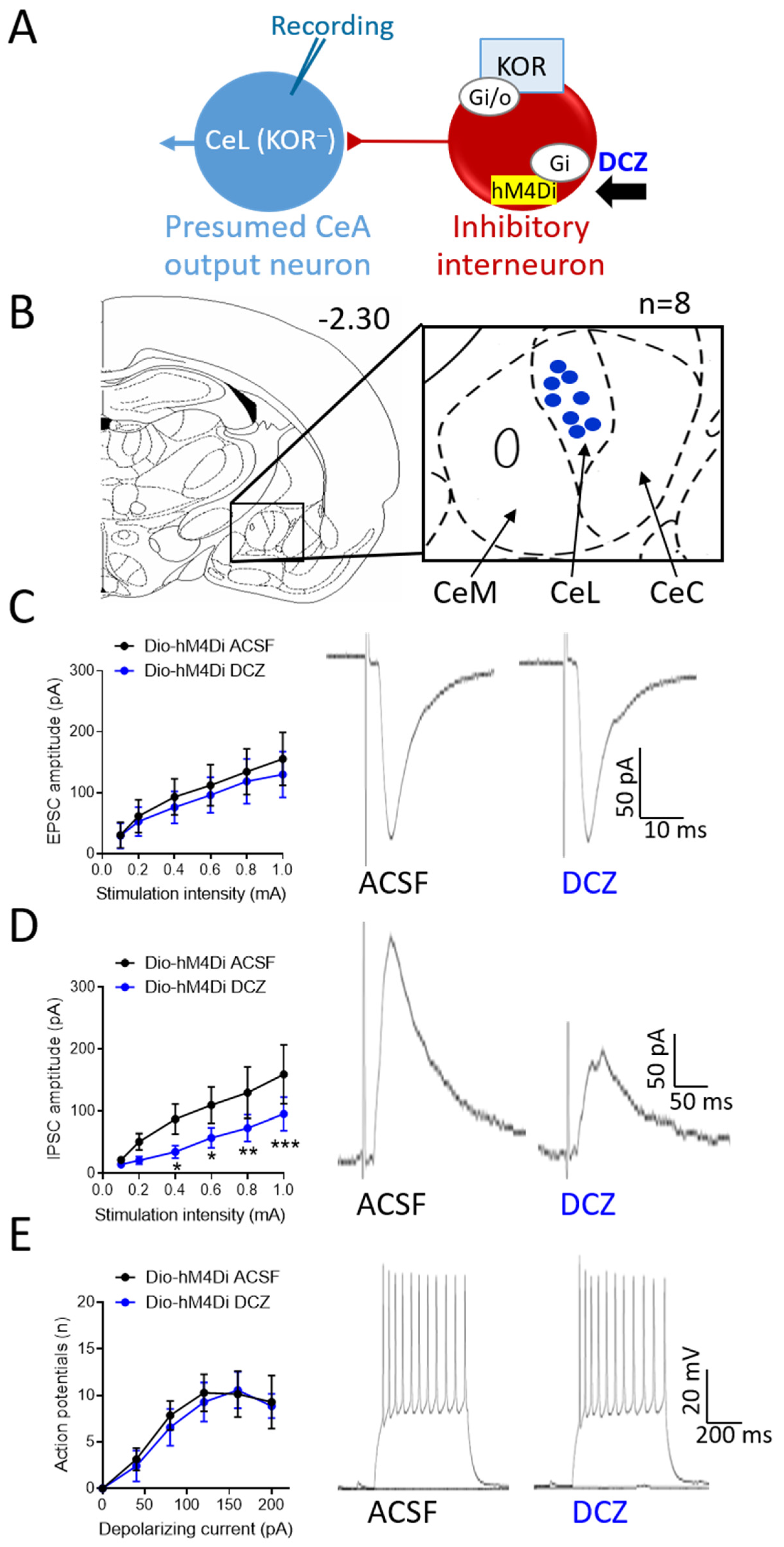 Cells 13 00705 g006 Cells 13 00705 g006
