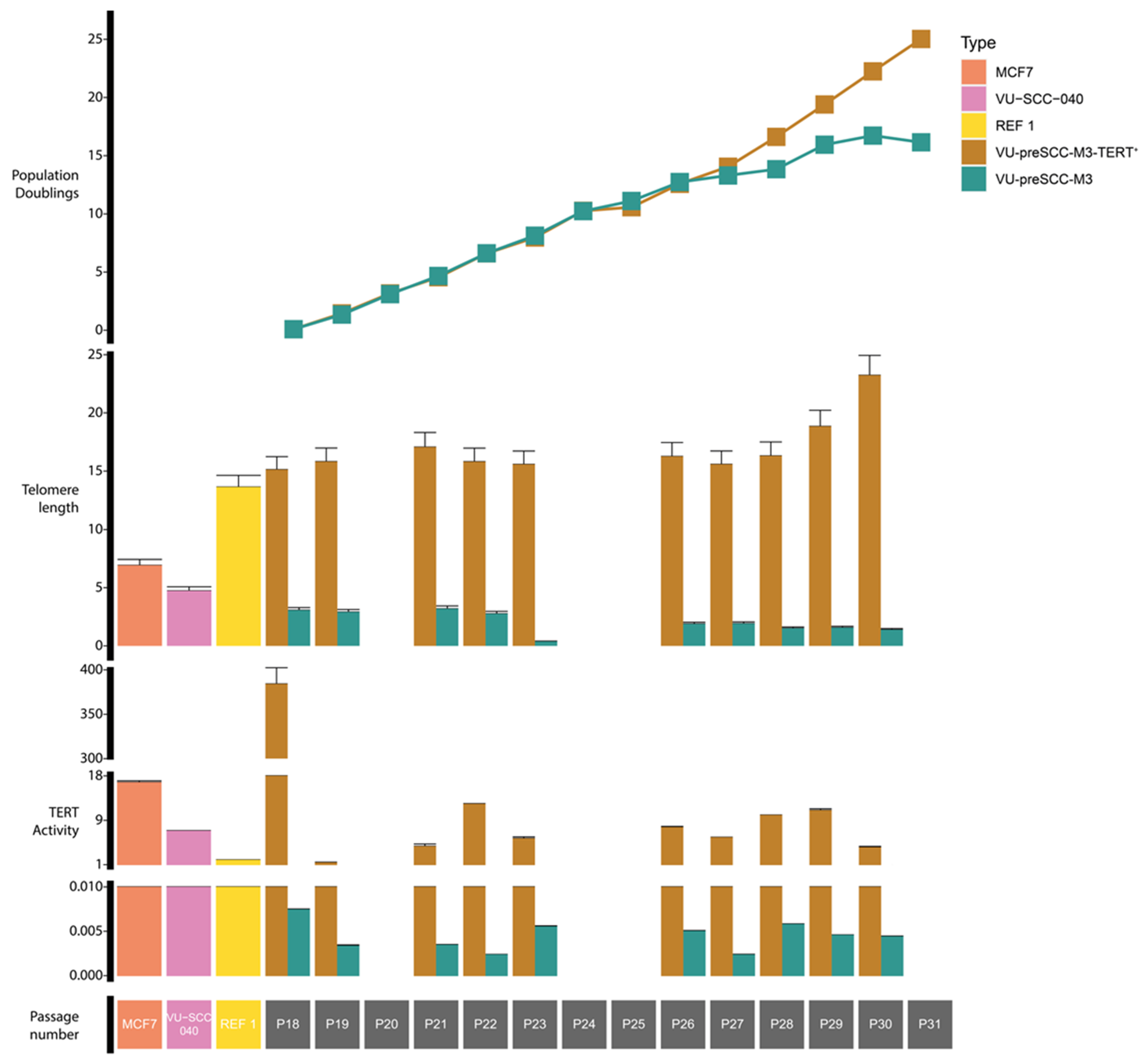 Cells 13 00710 g001 Cells 13 00710 g001
