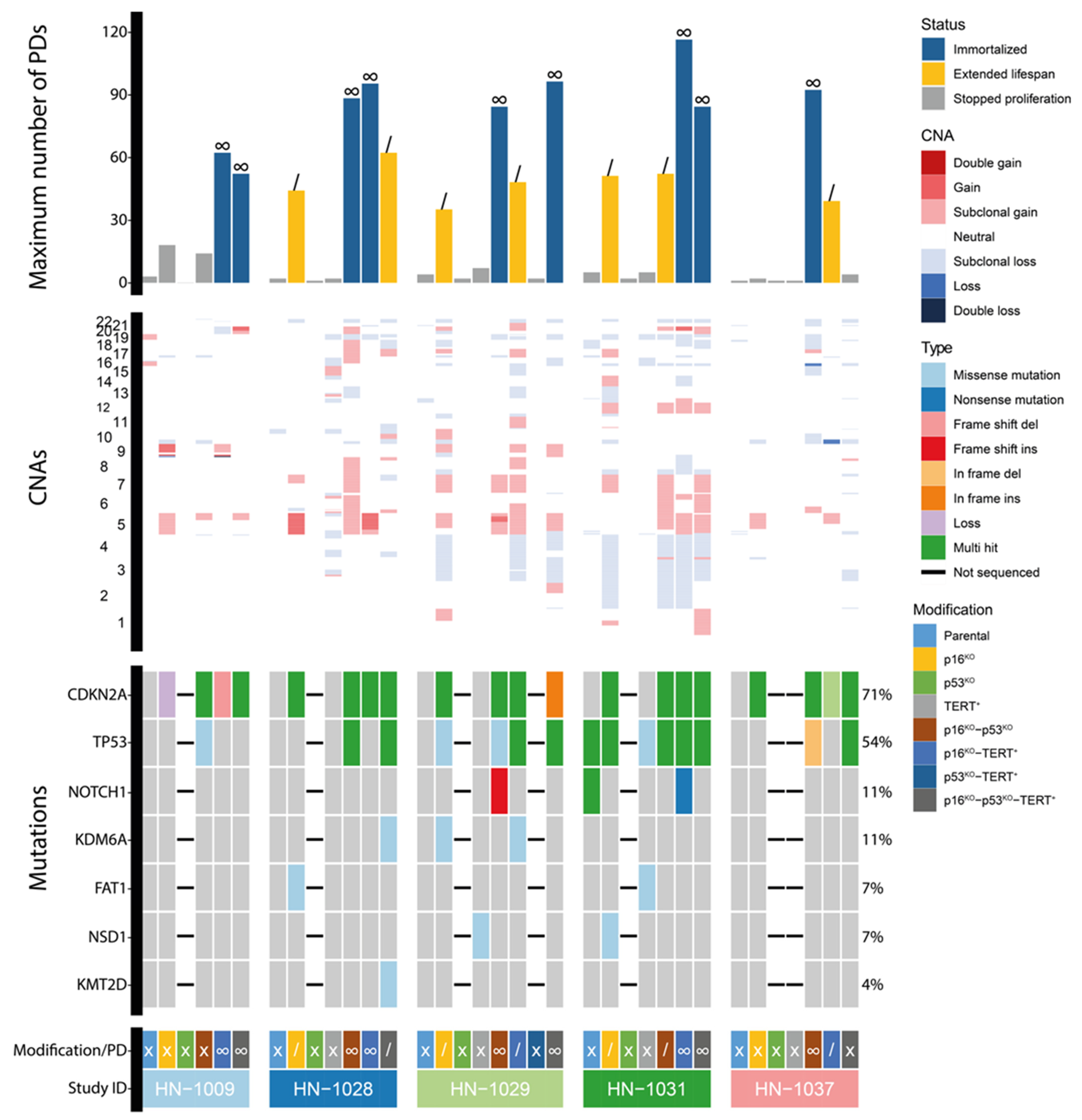 Cells 13 00710 g003 Cells 13 00710 g003