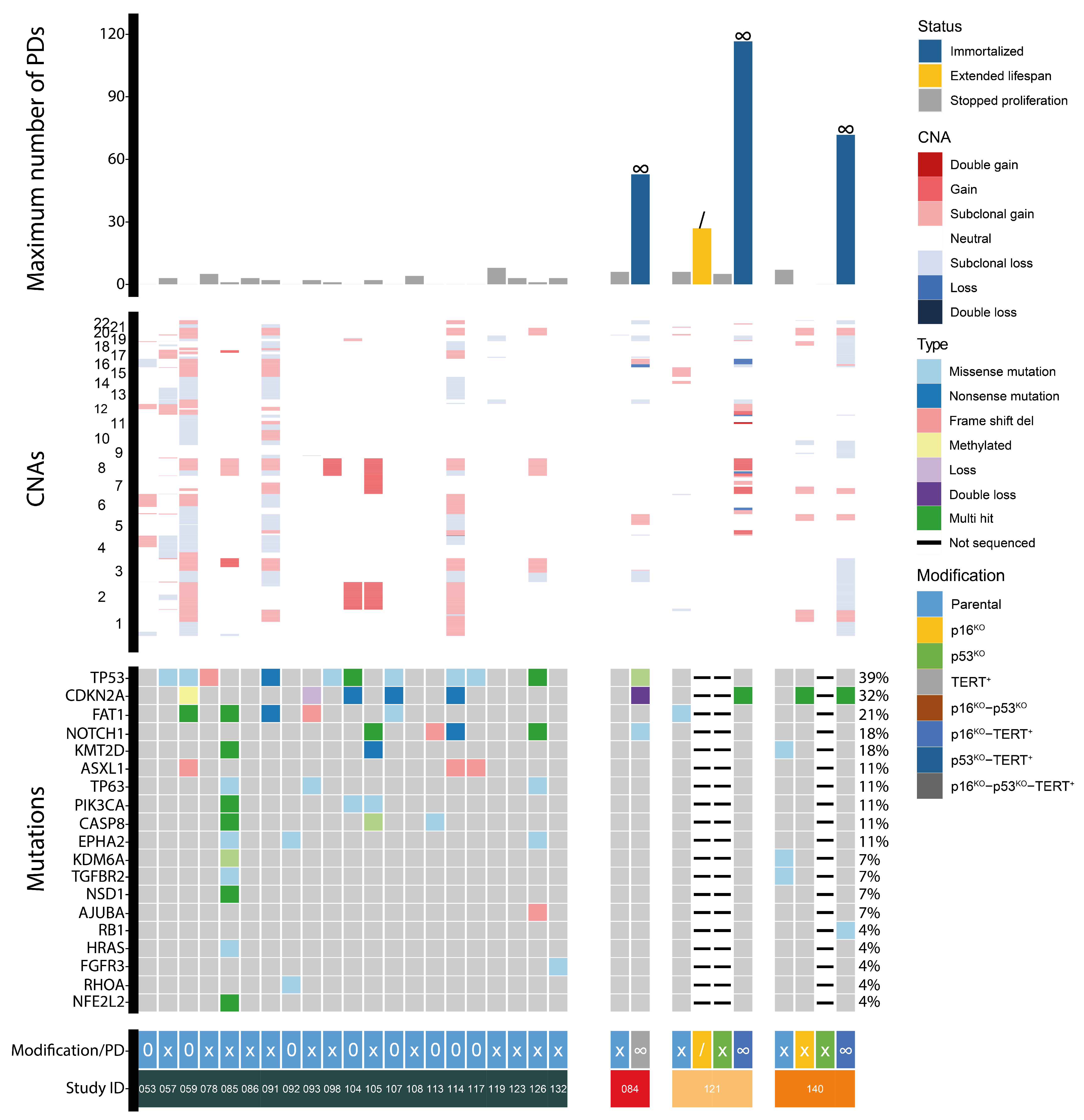 Cells 13 00710 g004 Cells 13 00710 g004