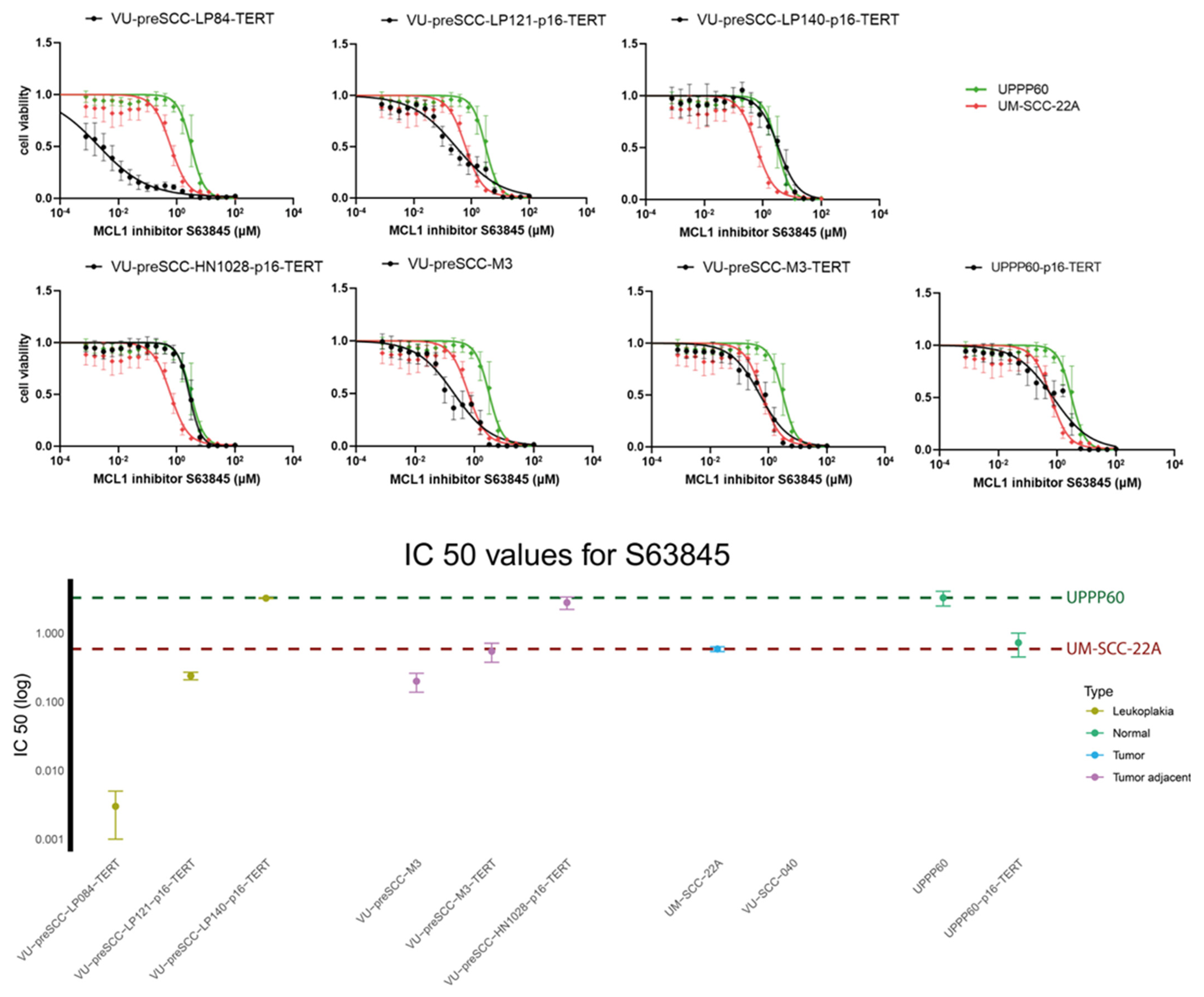 Cells 13 00710 g005 Cells 13 00710 g005