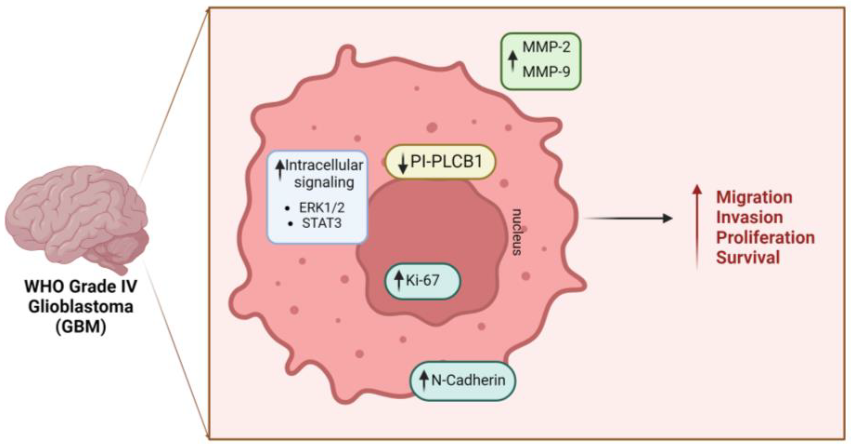 Cells 13 00713 g003 Cells 13 00713 g003