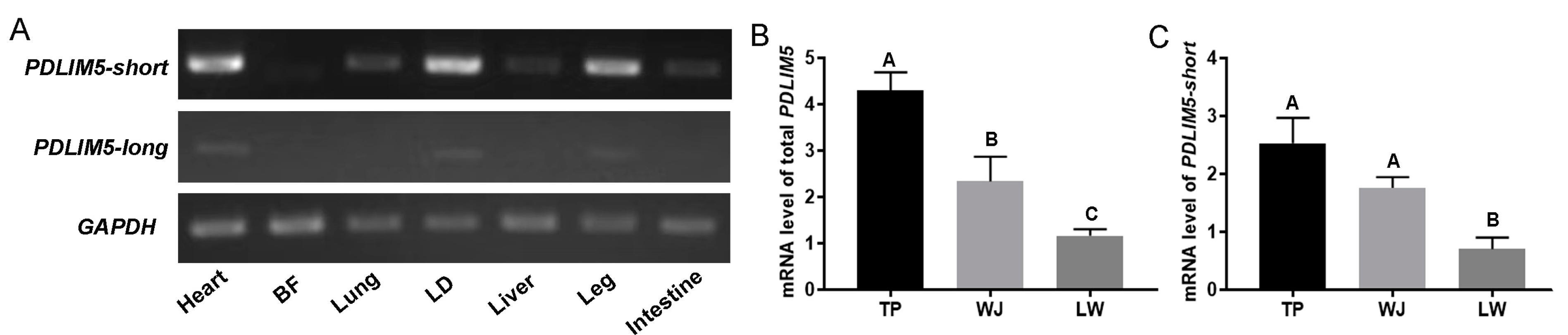 Cells 13 00720 g001 Cells 13 00720 g001