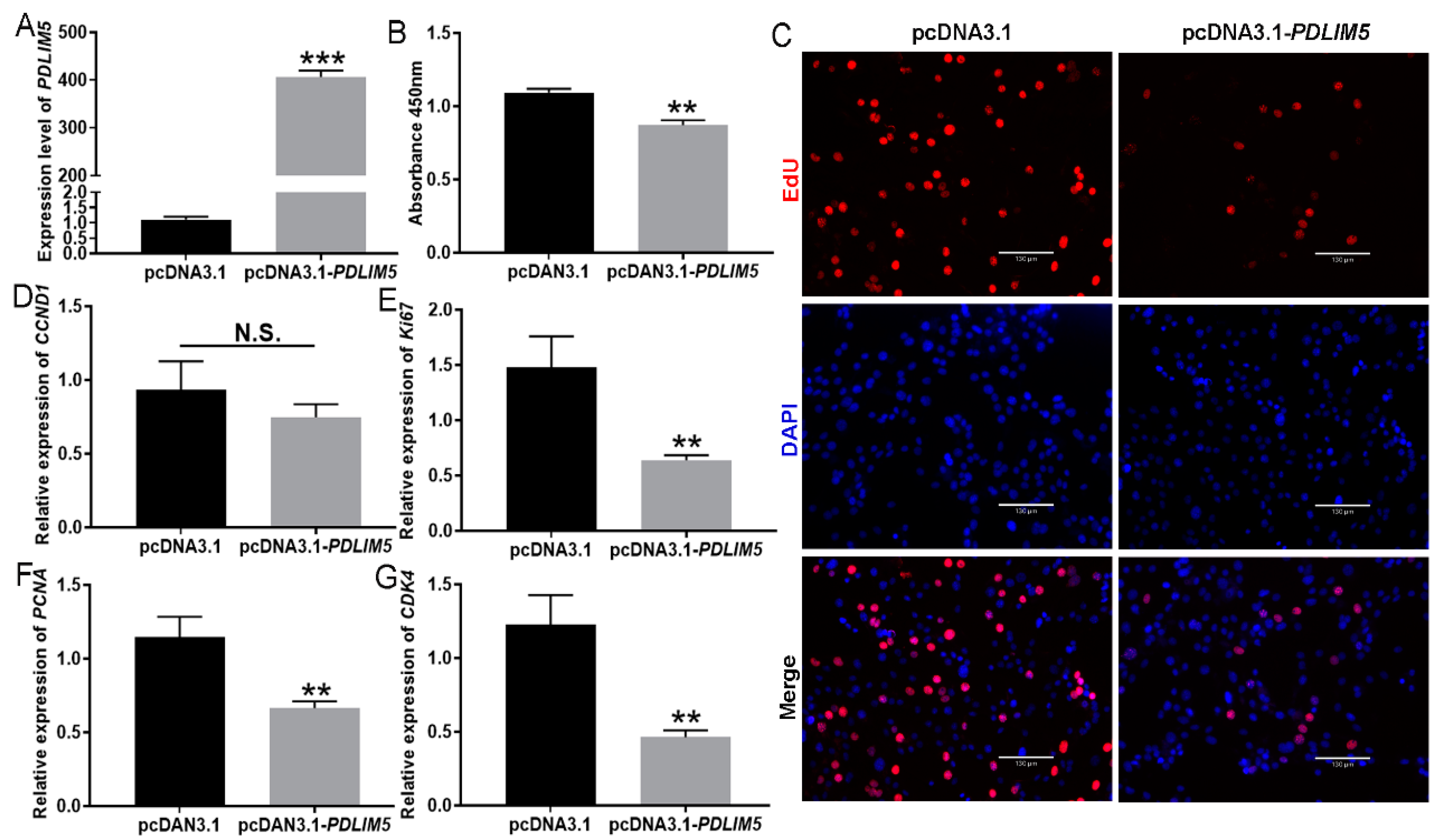 Cells 13 00720 g002 Cells 13 00720 g002