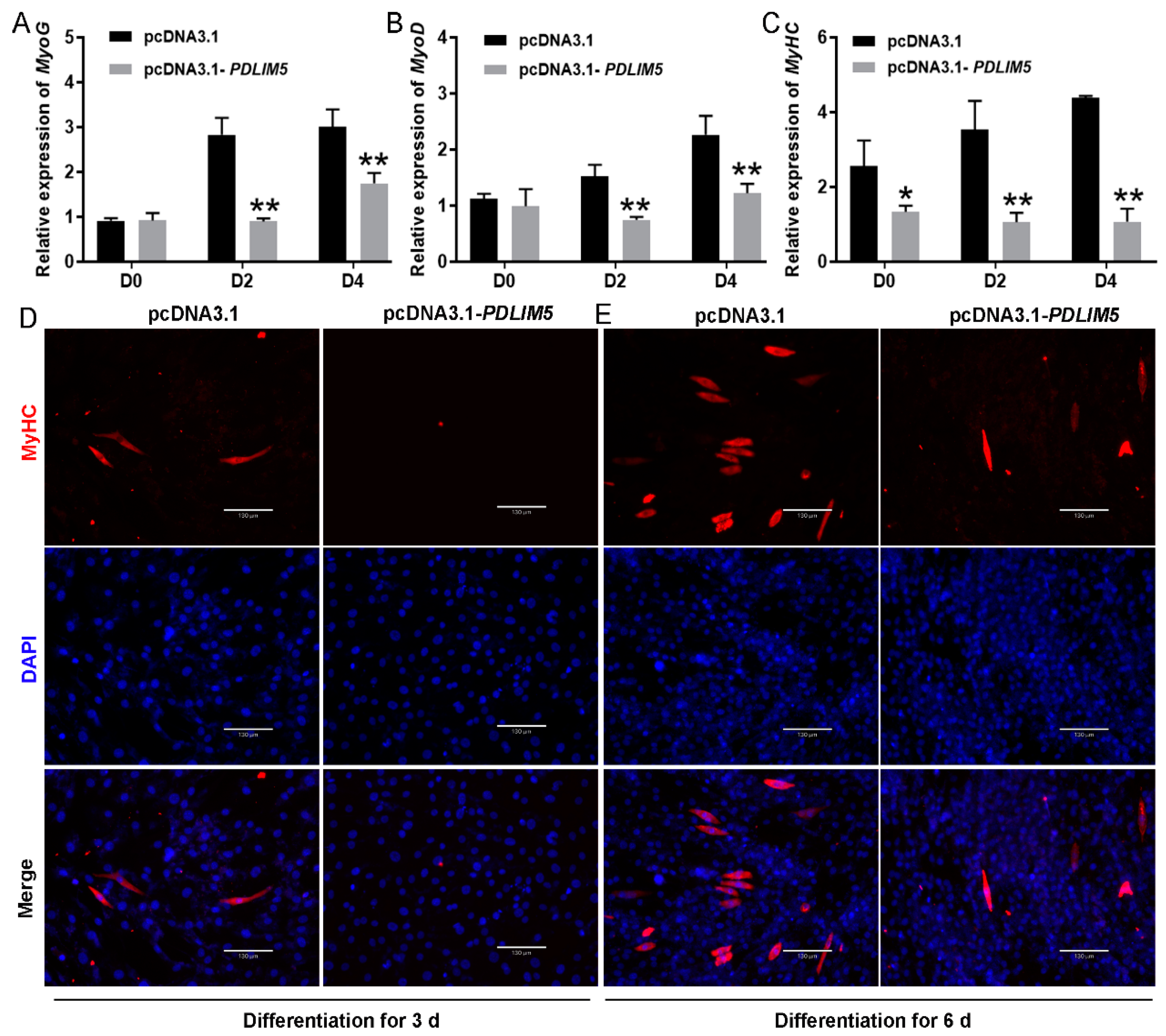Cells 13 00720 g003 Cells 13 00720 g003