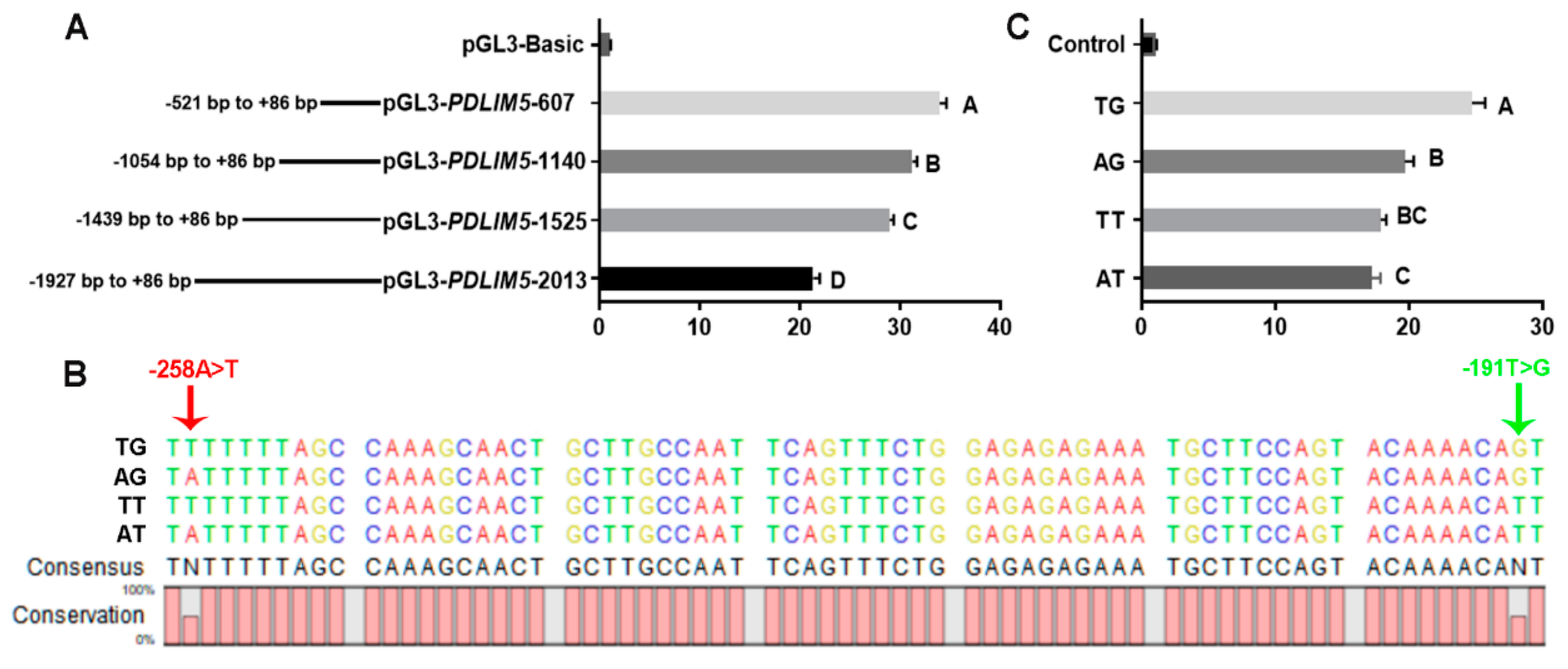 Cells 13 00720 g004 Cells 13 00720 g004