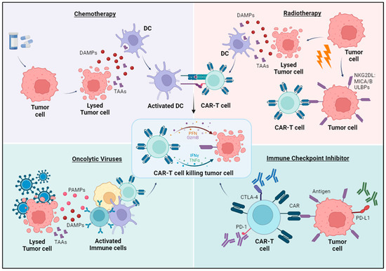 State of the Art in CAR-T Cell Therapy for Solid Tumors: Is There a ...