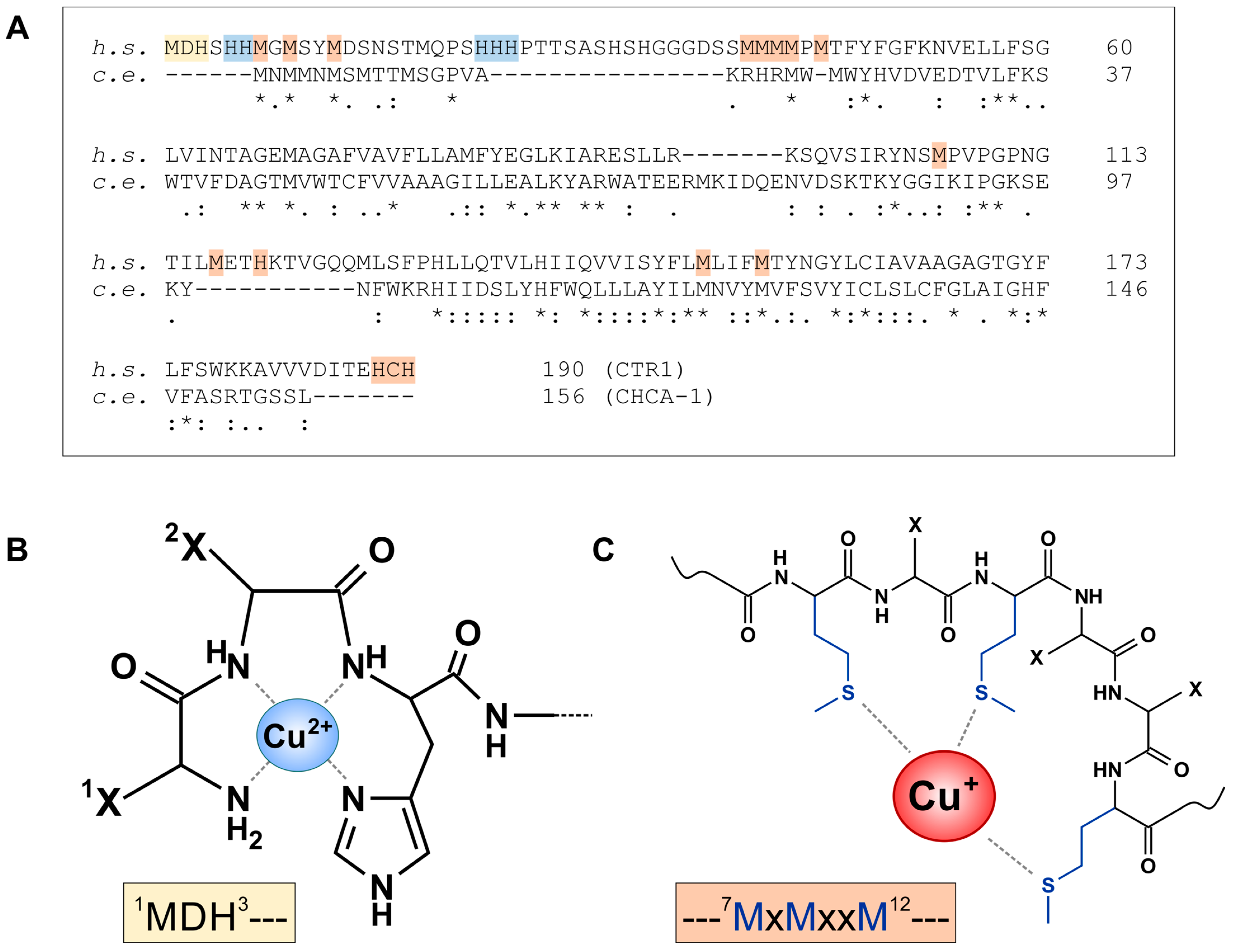 Cells 13 00727 g004 Cells 13 00727 g004