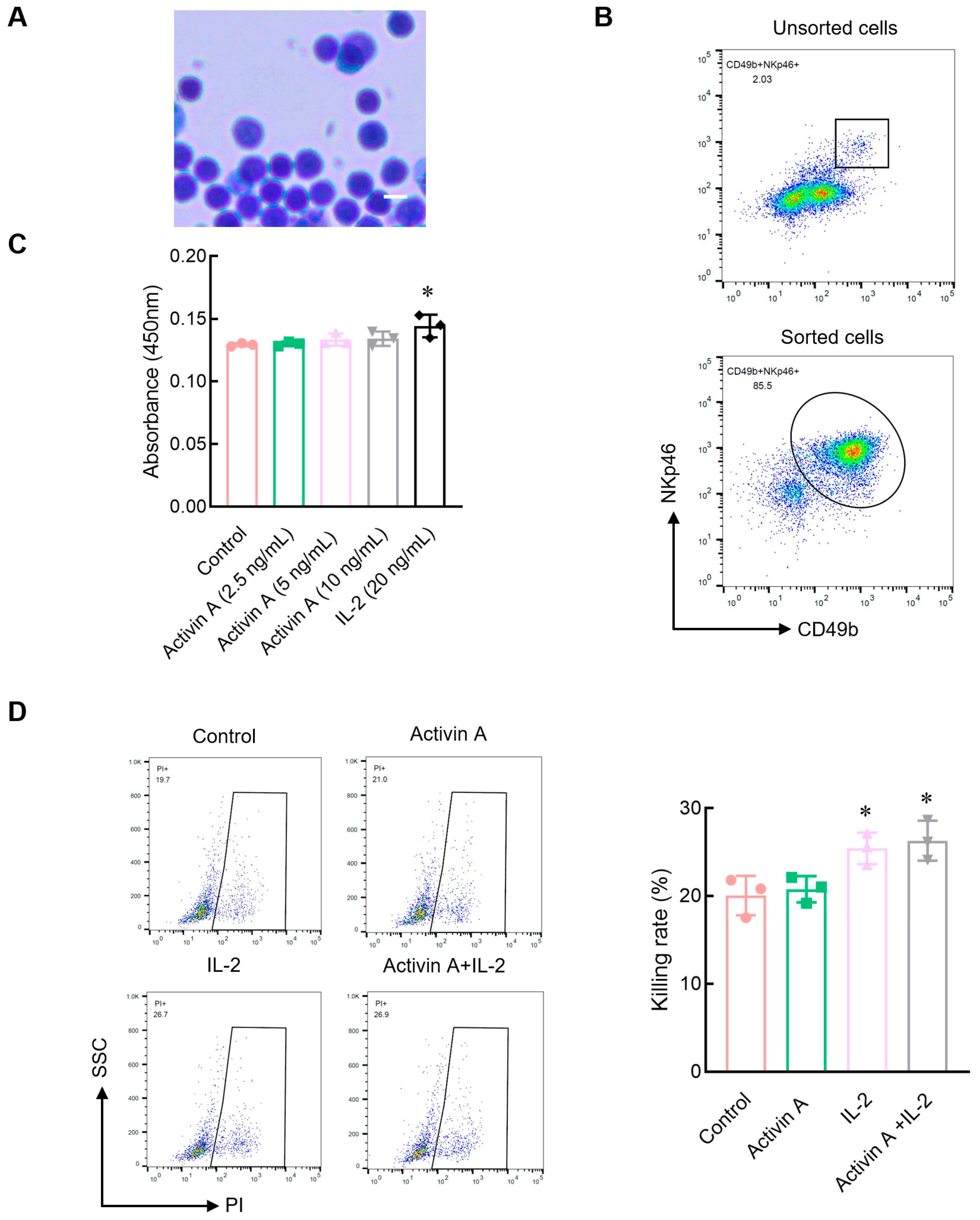 Cells 13 00728 g001 Cells 13 00728 g001