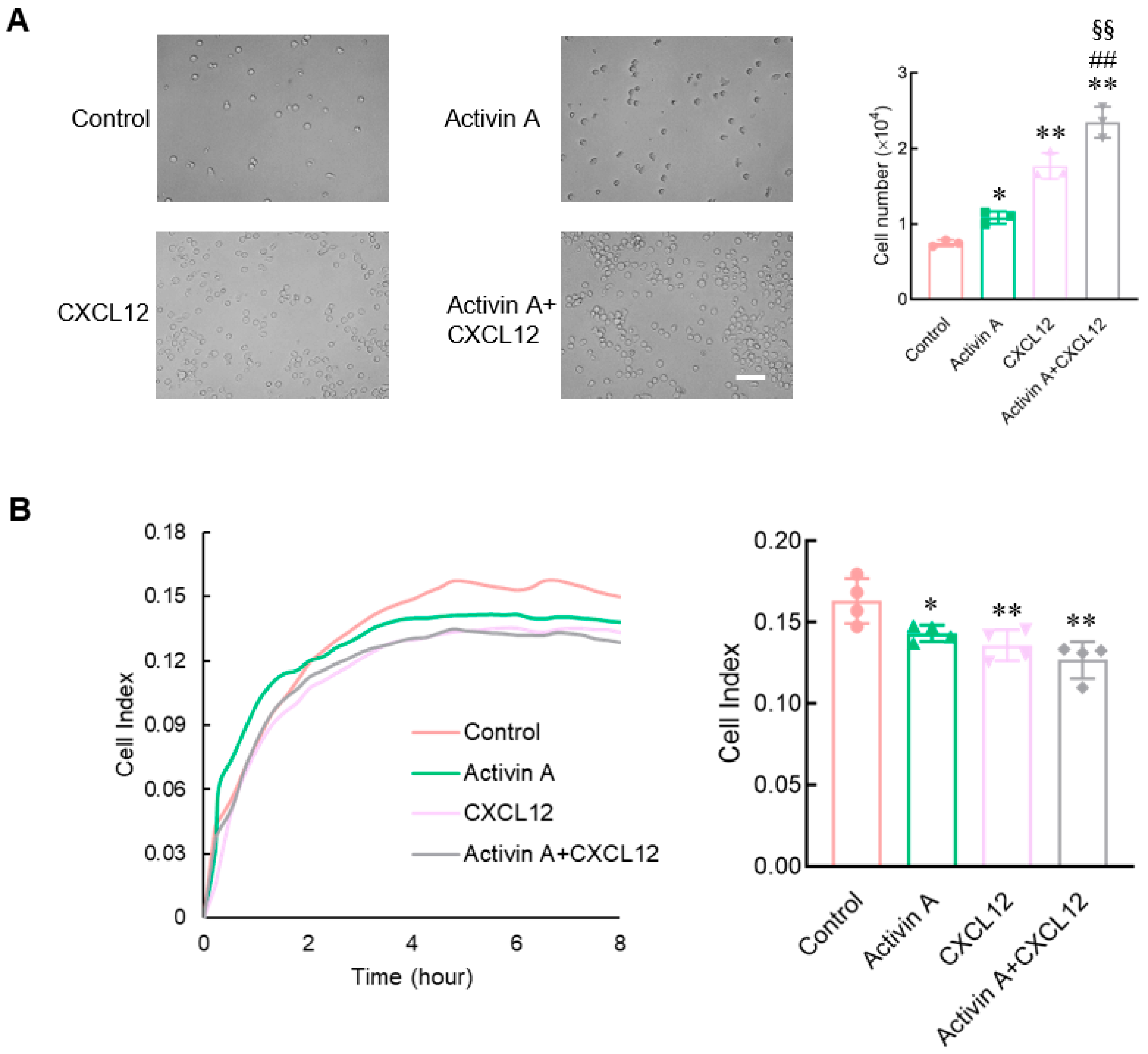 Cells 13 00728 g003 Cells 13 00728 g003