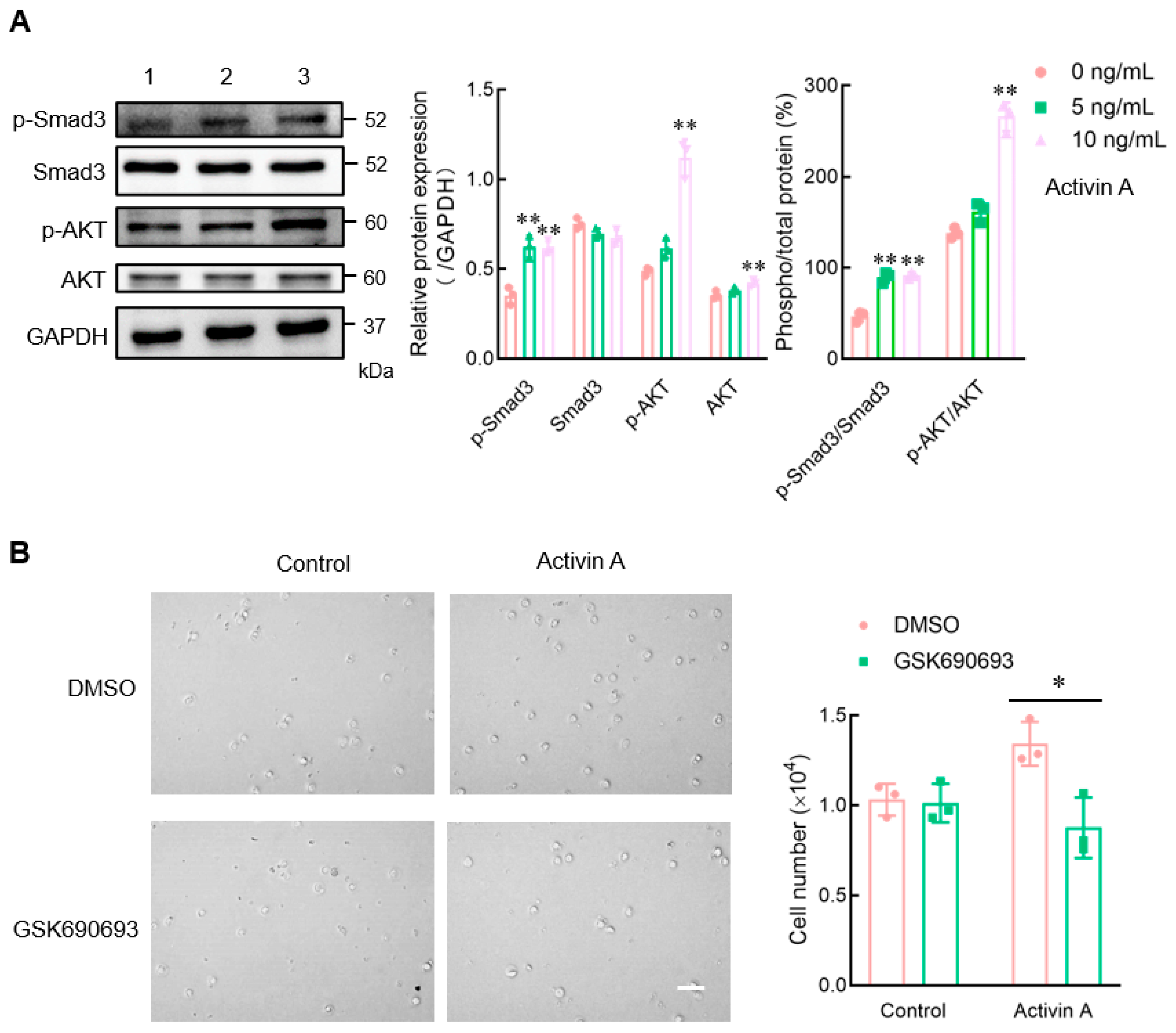 Cells 13 00728 g005 Cells 13 00728 g005