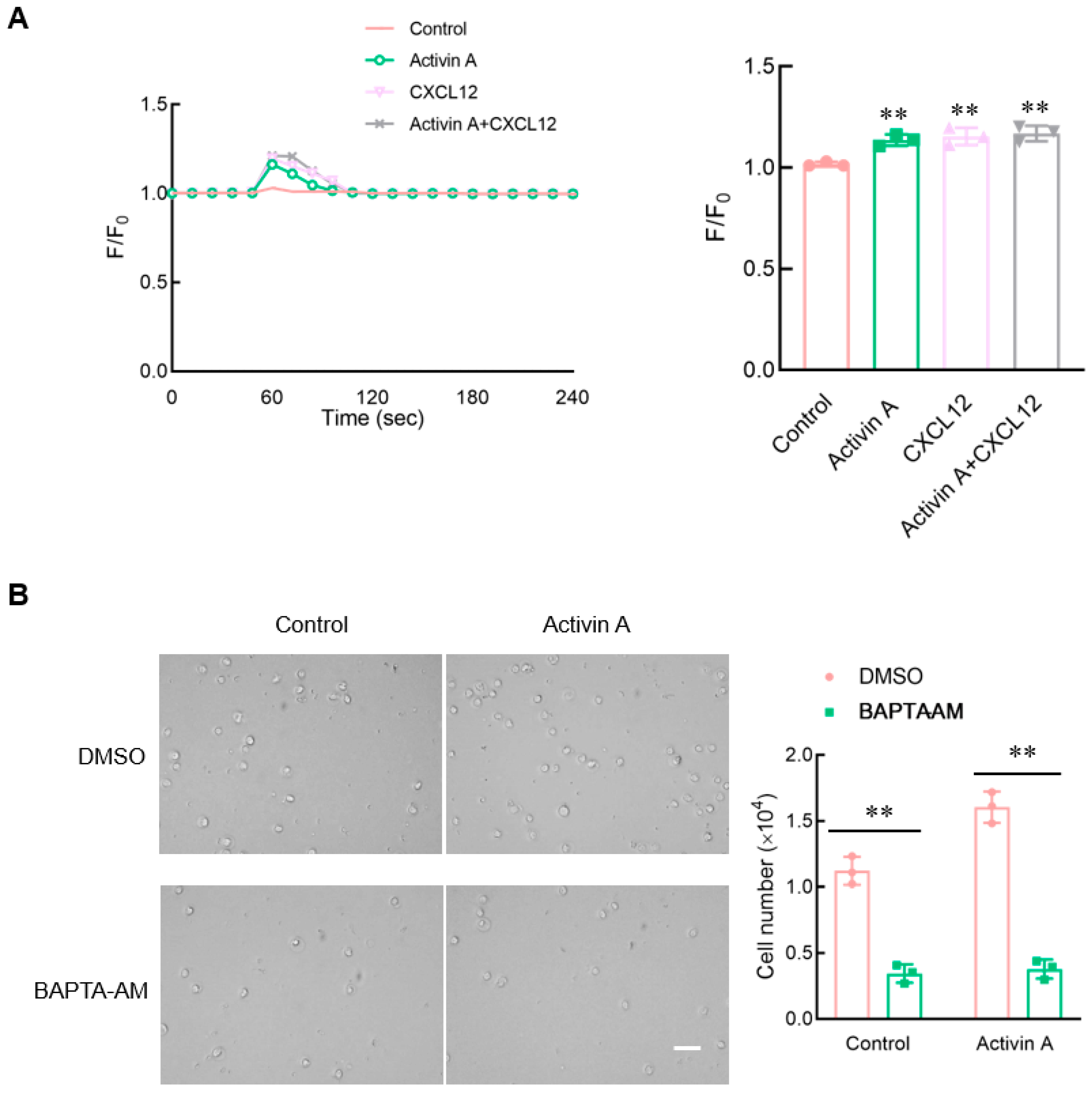 Cells 13 00728 g006 Cells 13 00728 g006