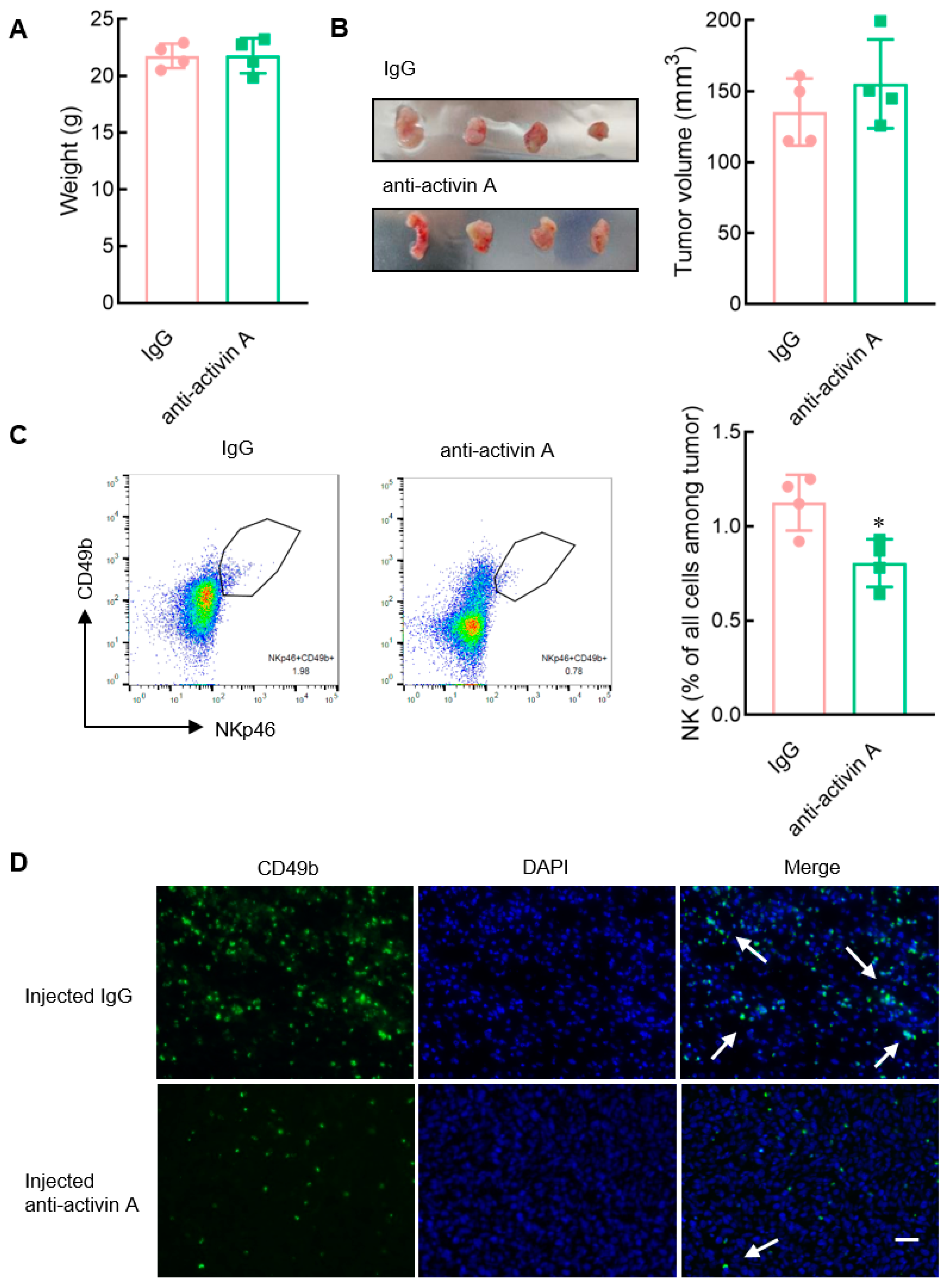 Cells 13 00728 g008 Cells 13 00728 g008