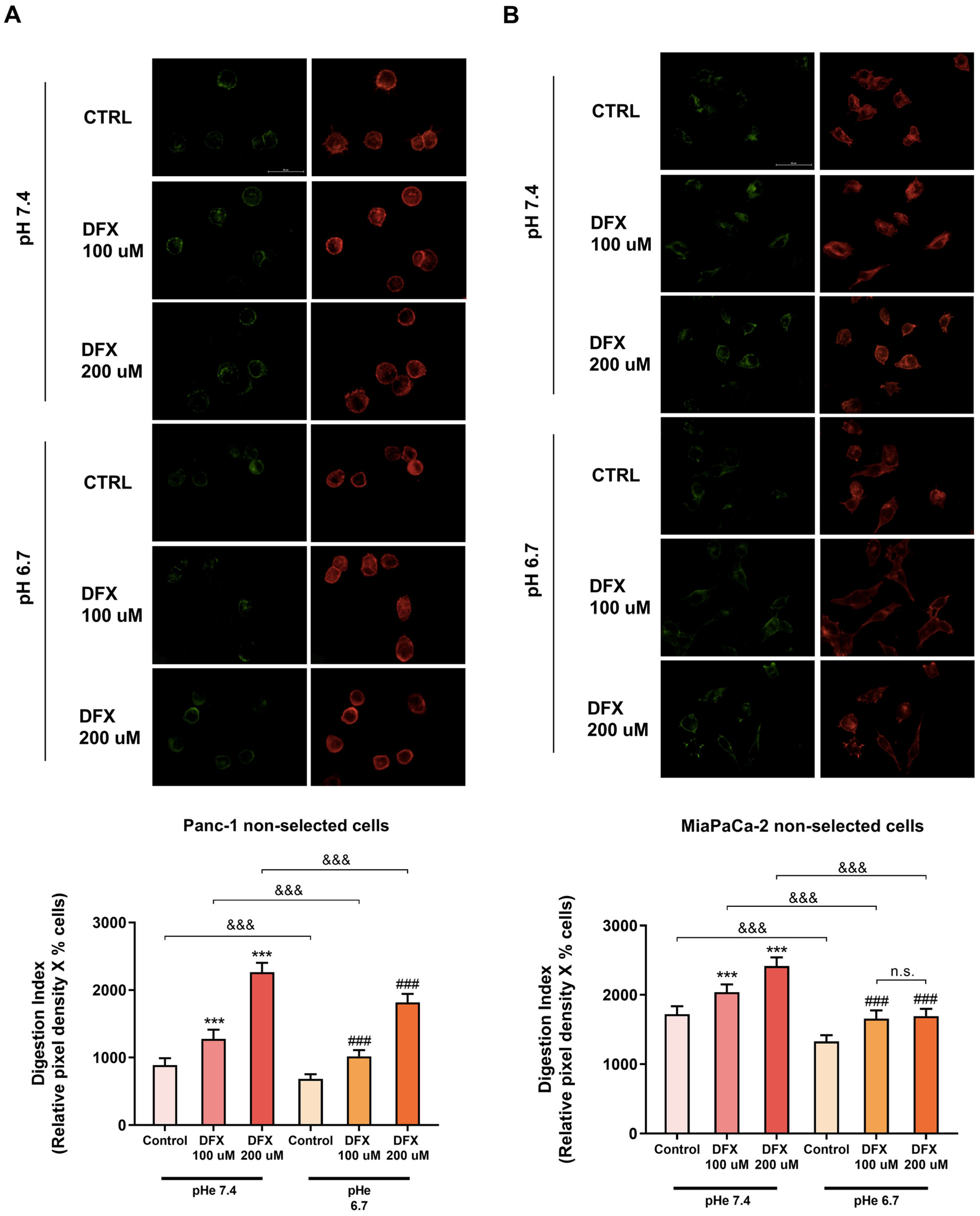 Cells 13 00730 g003