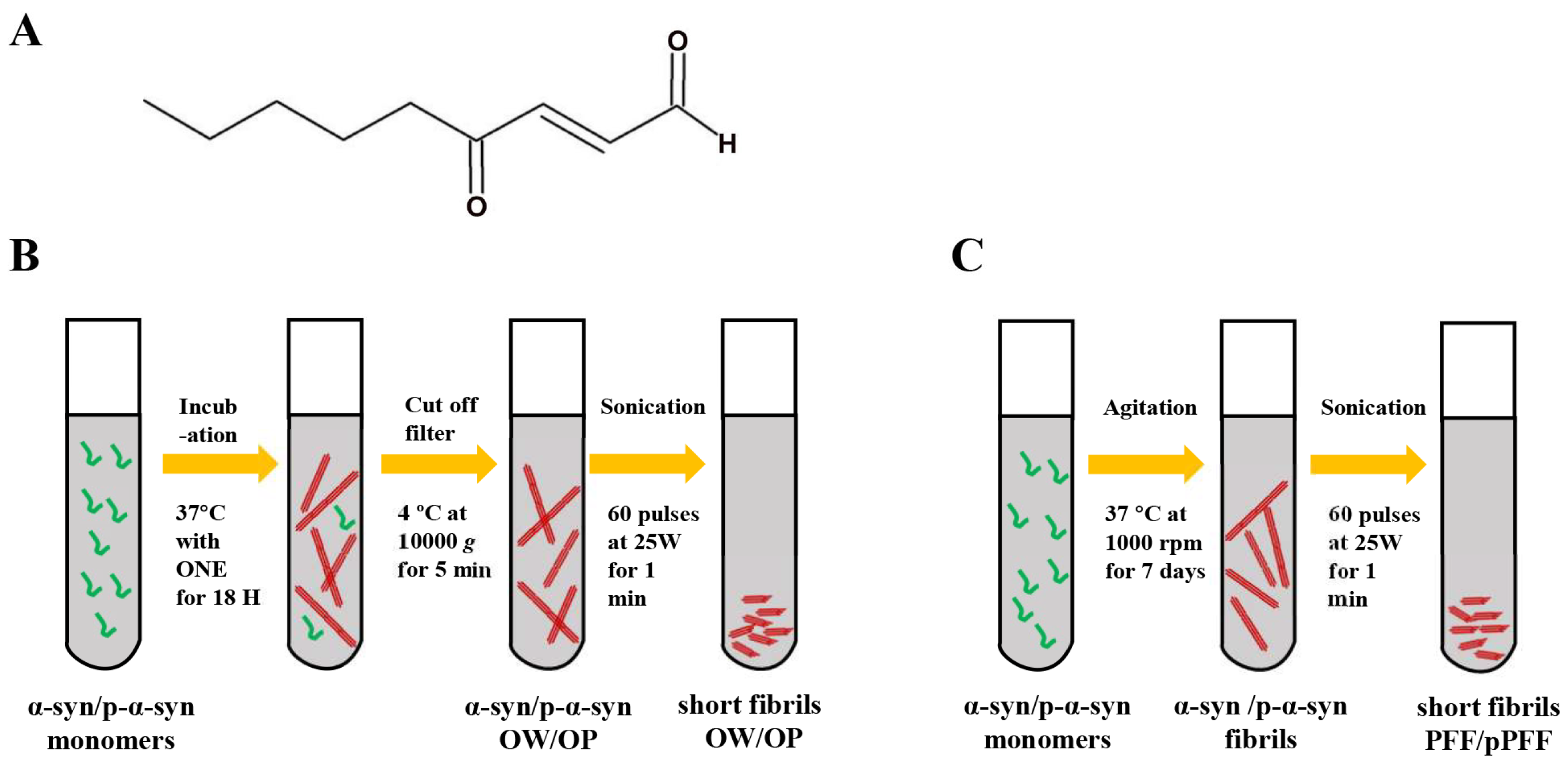 Cells 13 00739 sch001