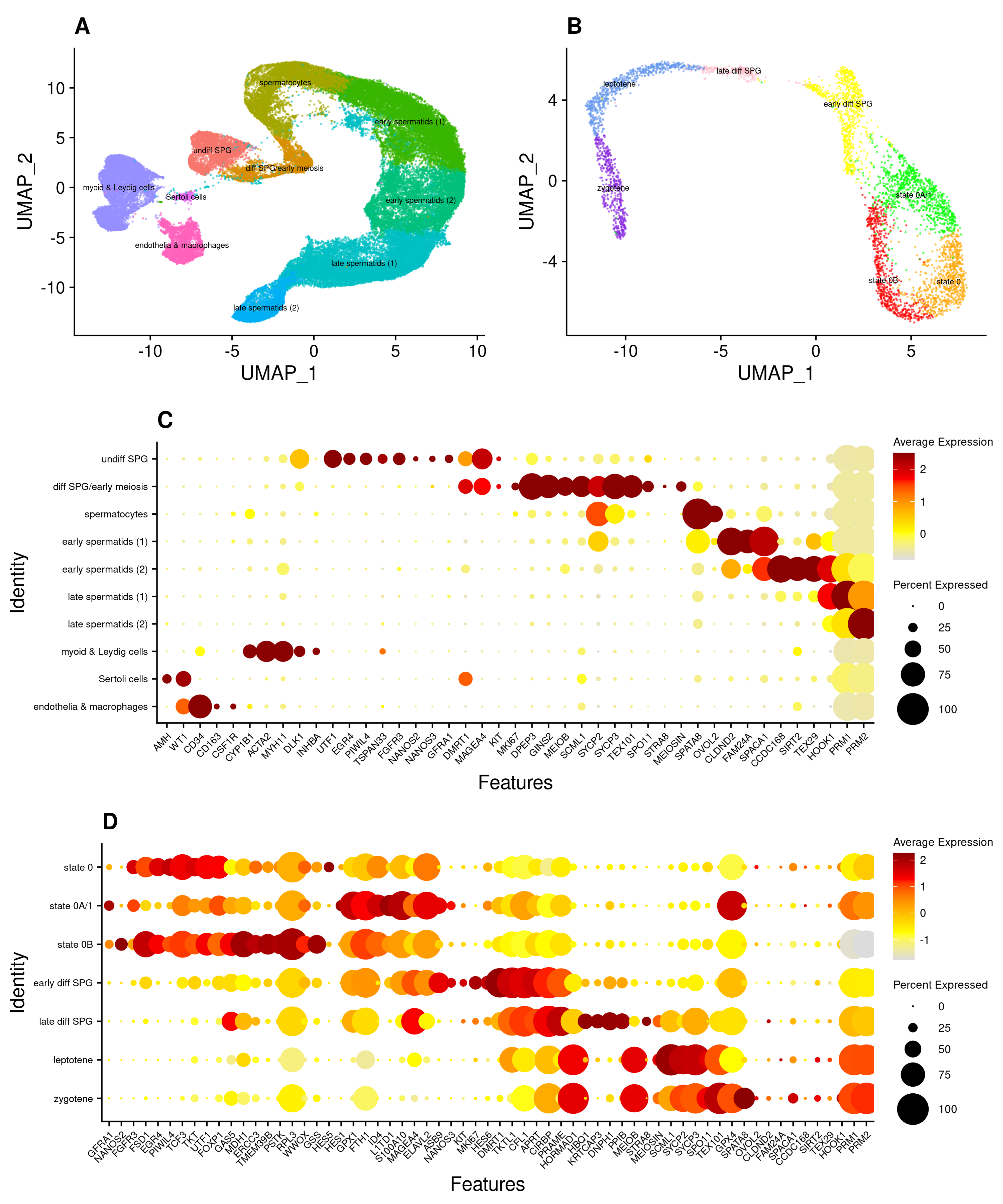Cells 13 00742 g001 Cells 13 00742 g001