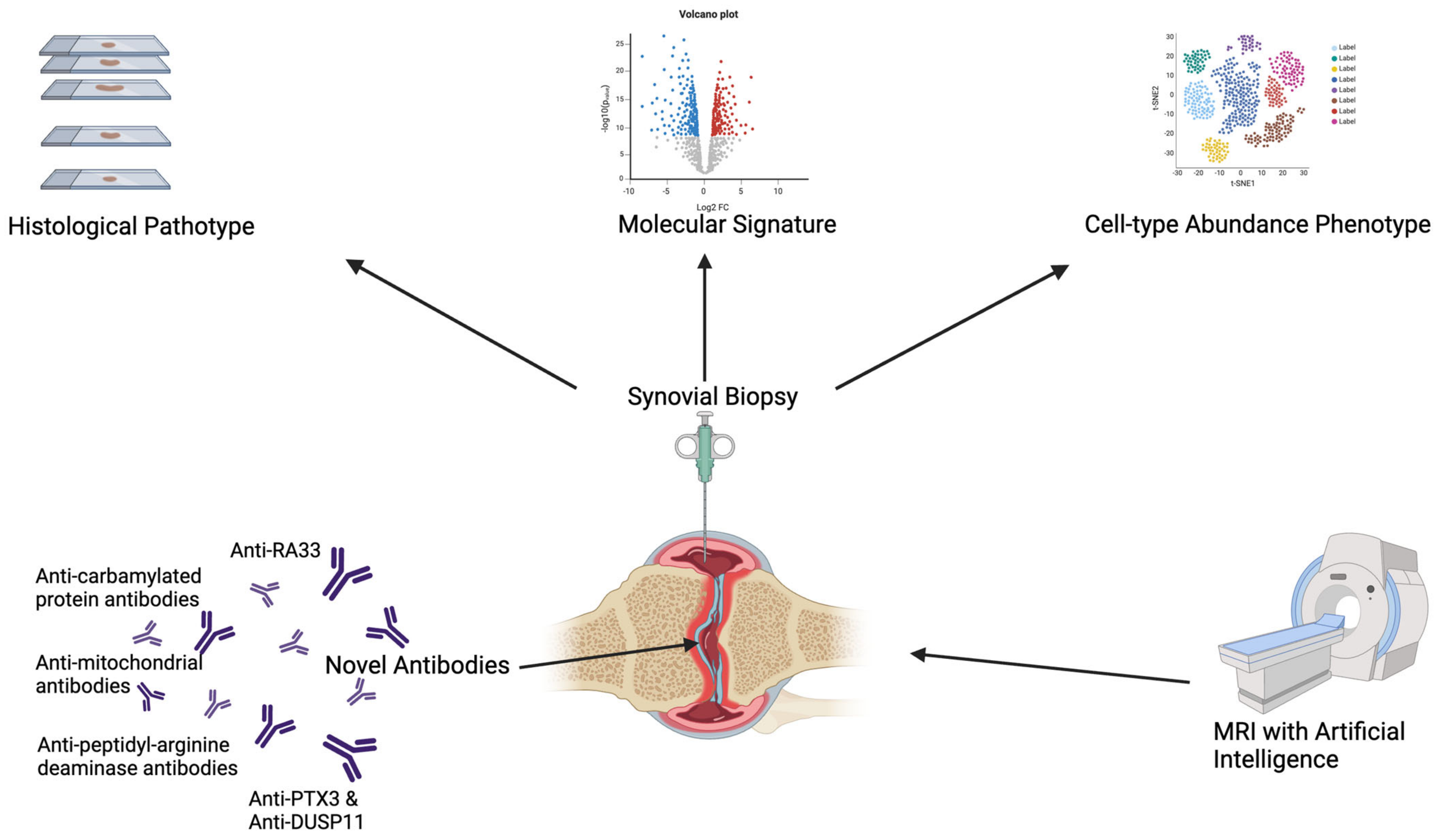 Cells 13 00743 g002 Cells 13 00743 g002