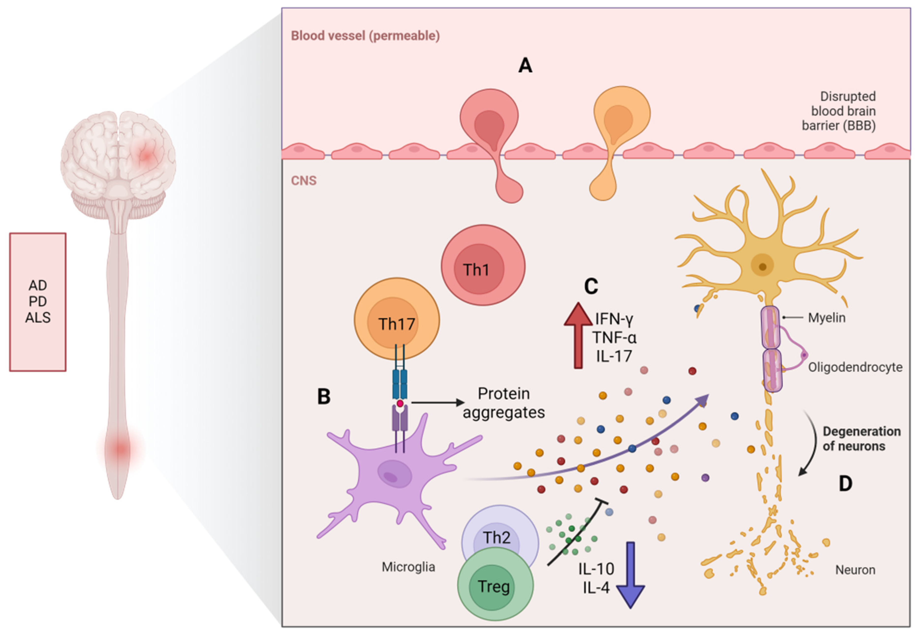 Cells 13 00749 g004 Cells 13 00749 g004