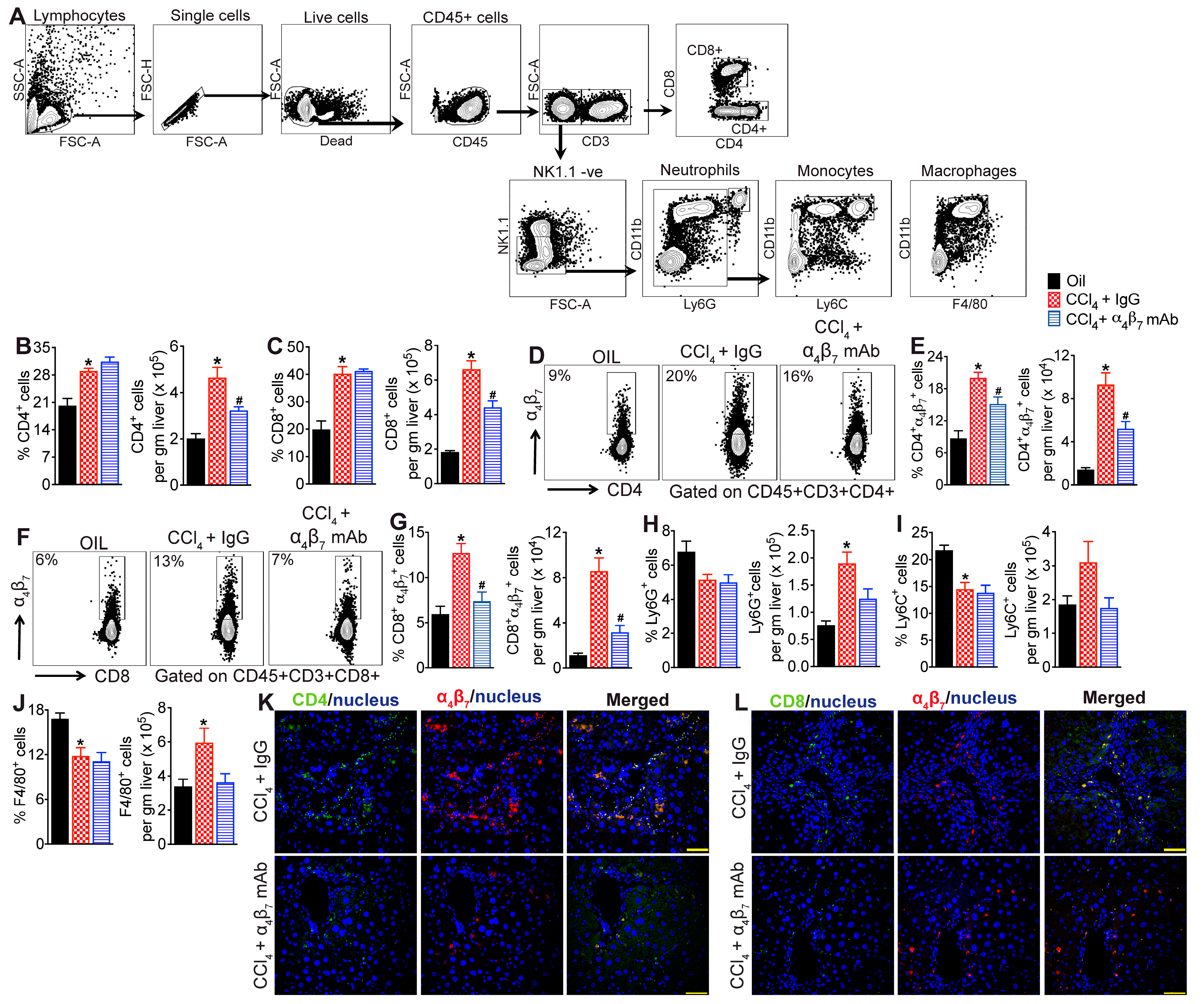 Cells 13 00756 g003 Cells 13 00756 g003