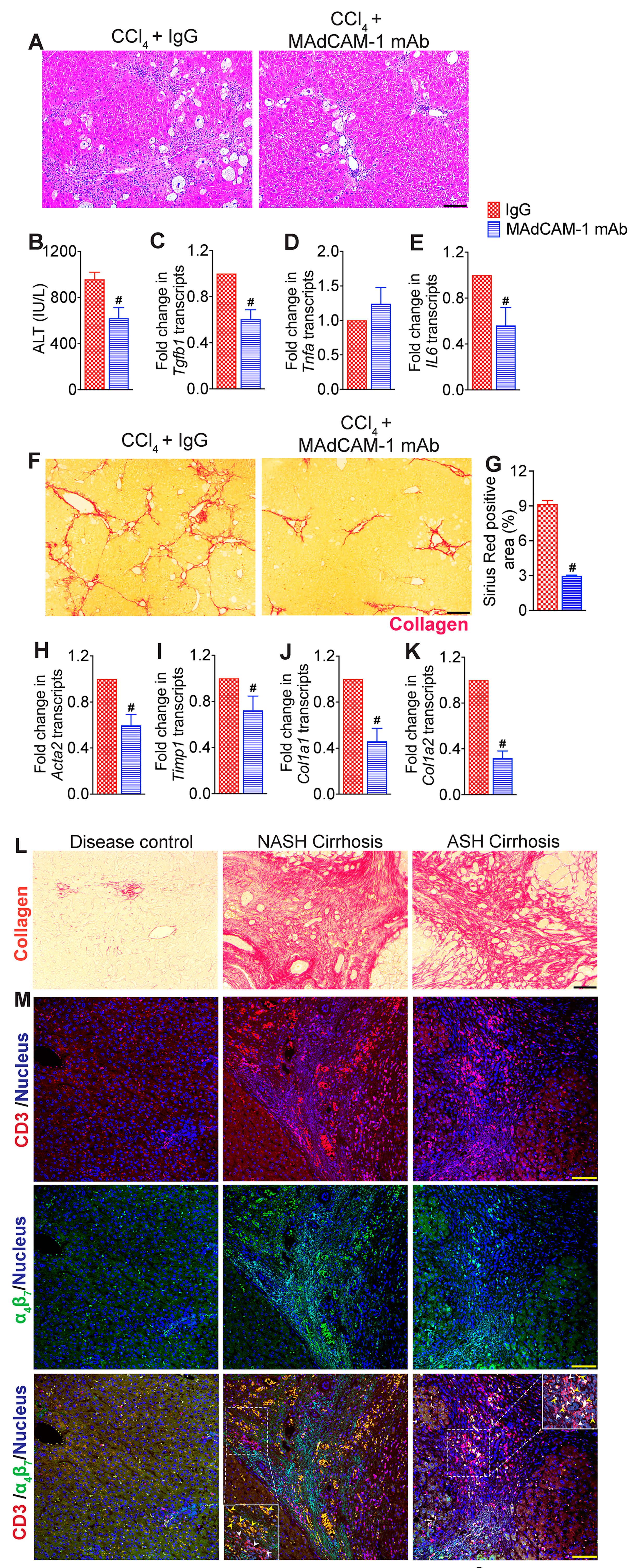 Cells 13 00756 g006 Cells 13 00756 g006