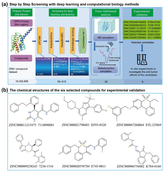 Small-Molecule Inhibitors of TIPE3 Protein Identified through Deep 