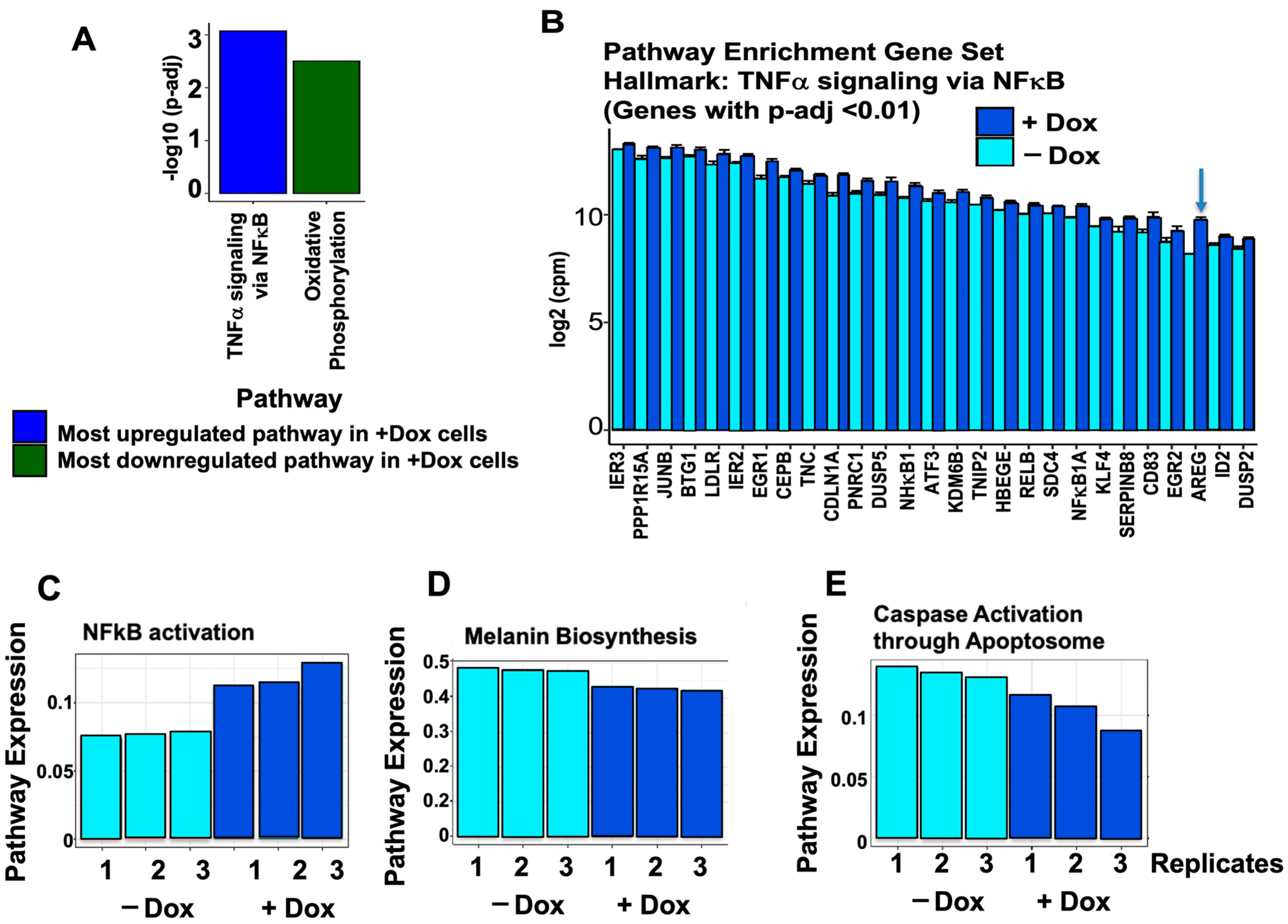 Cells 13 00777 g003 Cells 13 00777 g003