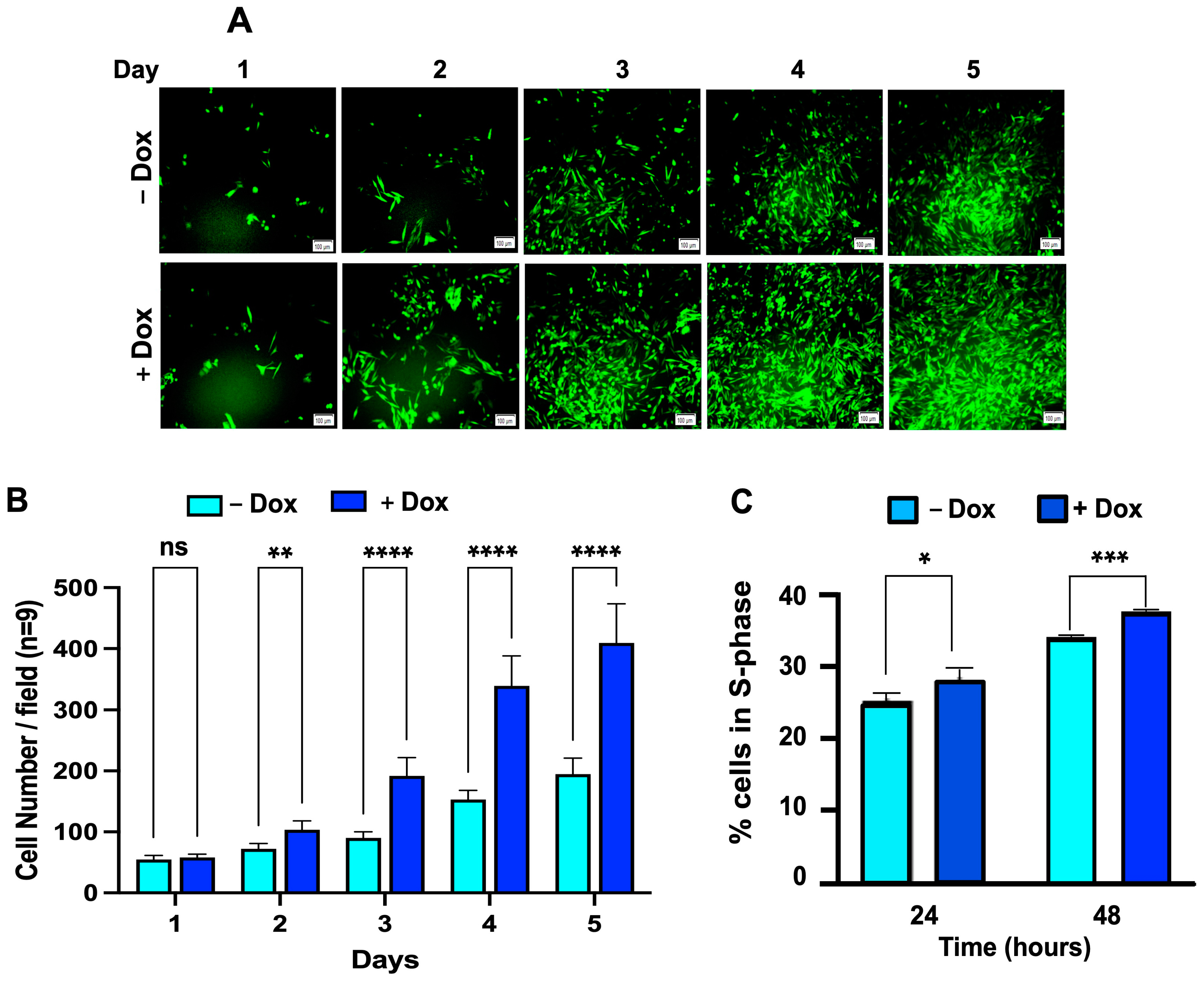 Cells 13 00777 g006 Cells 13 00777 g006