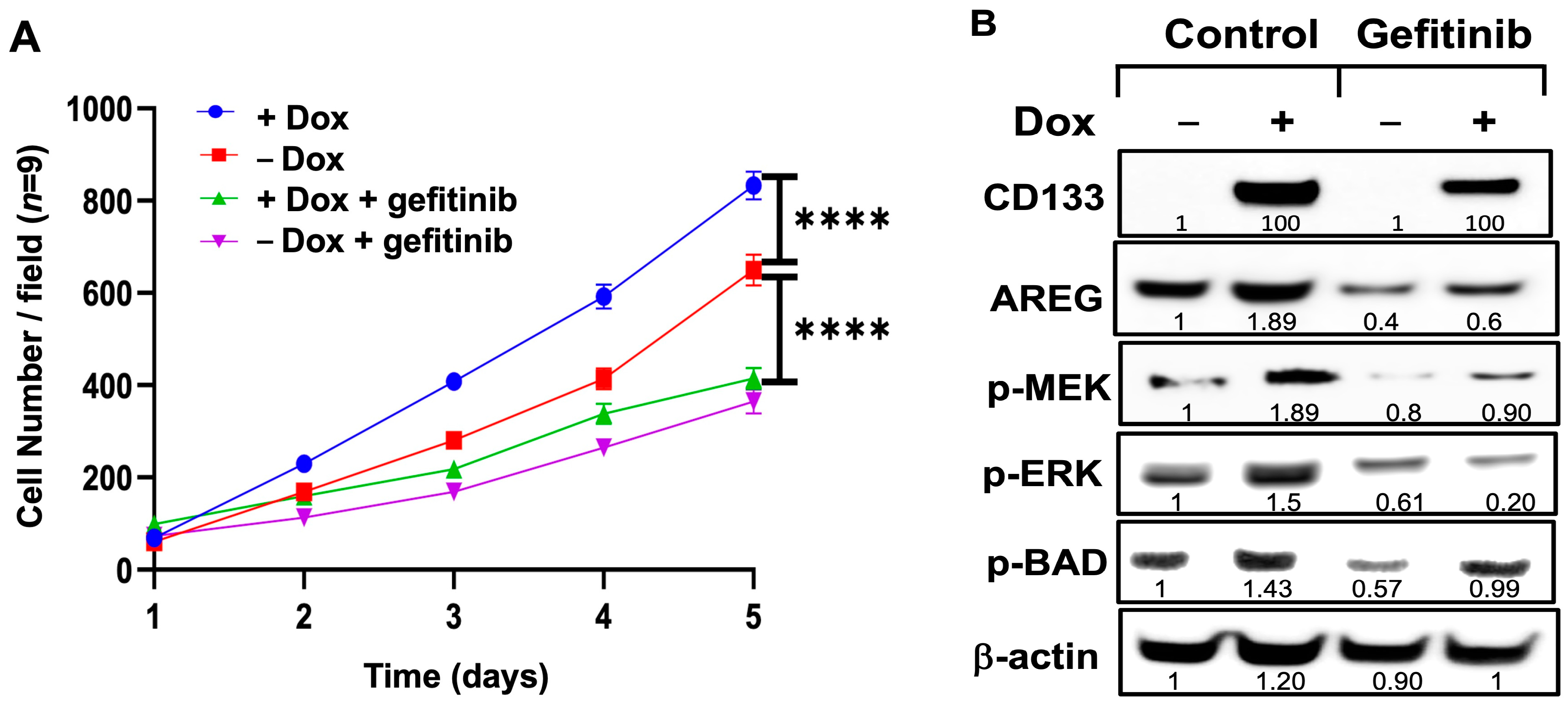 Cells 13 00777 g009 Cells 13 00777 g009
