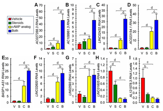 The Long Non-Coding RNA Gene AC027288.3 Plays a Role in