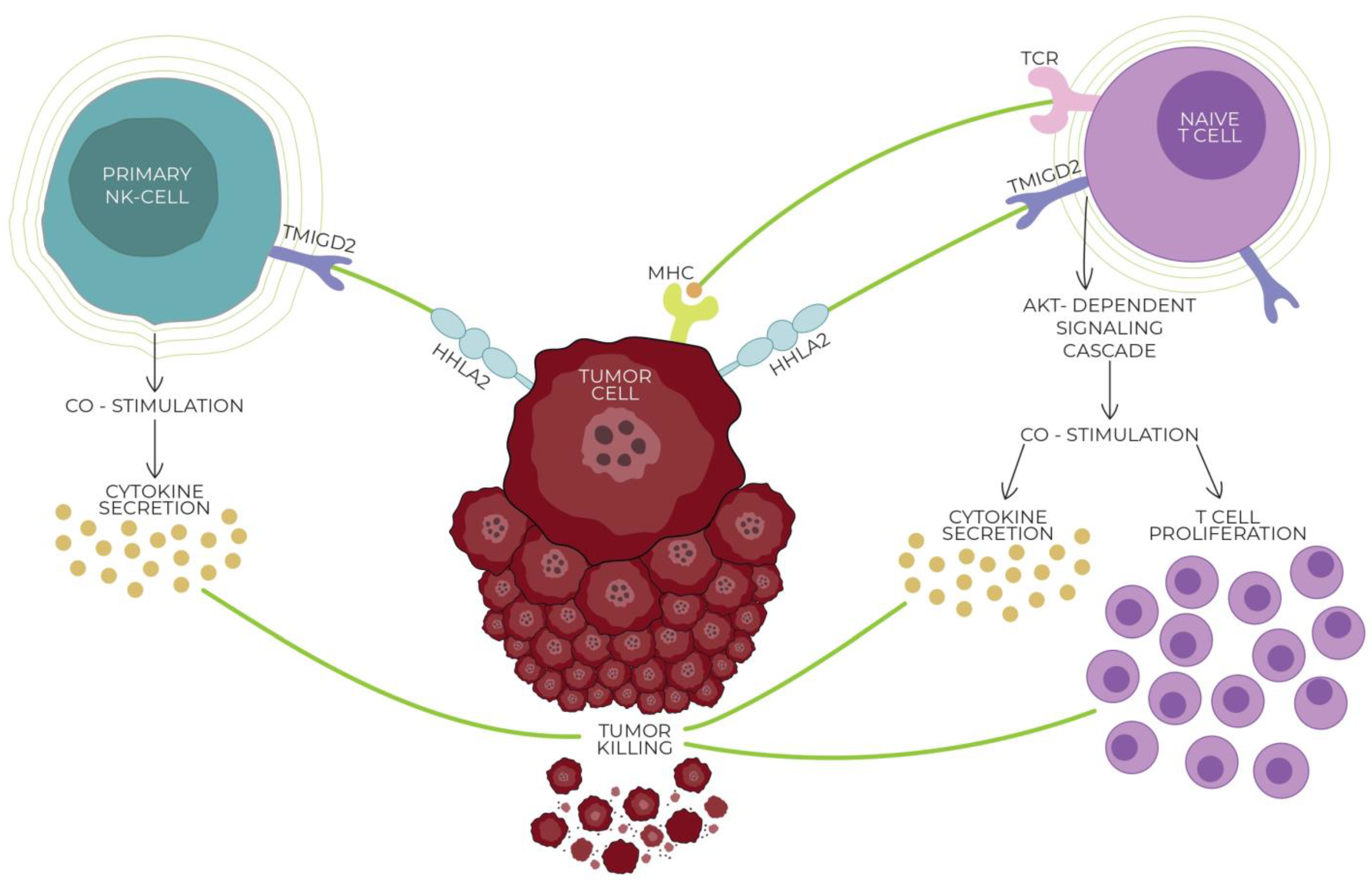 Cells 13 00794 g001 Cells 13 00794 g001