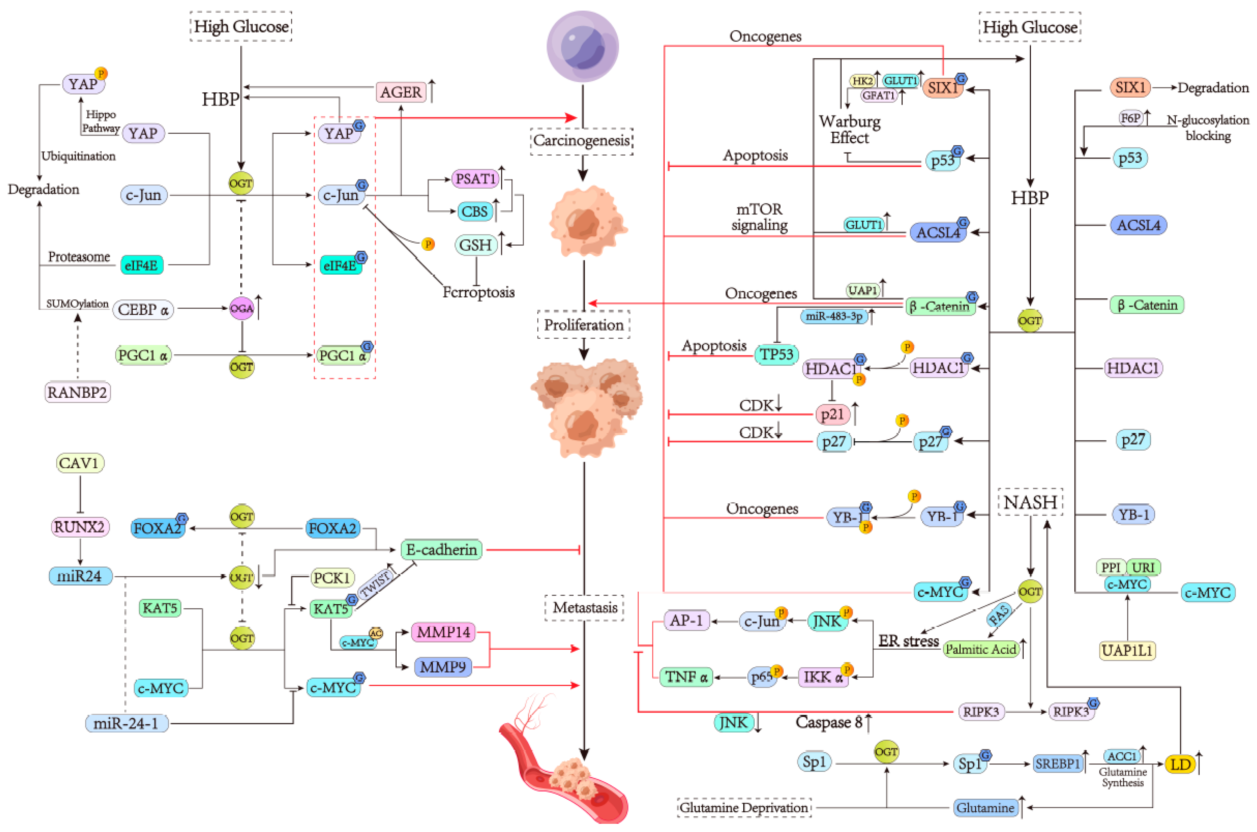 Cells 13 00805 g005 Cells 13 00805 g005