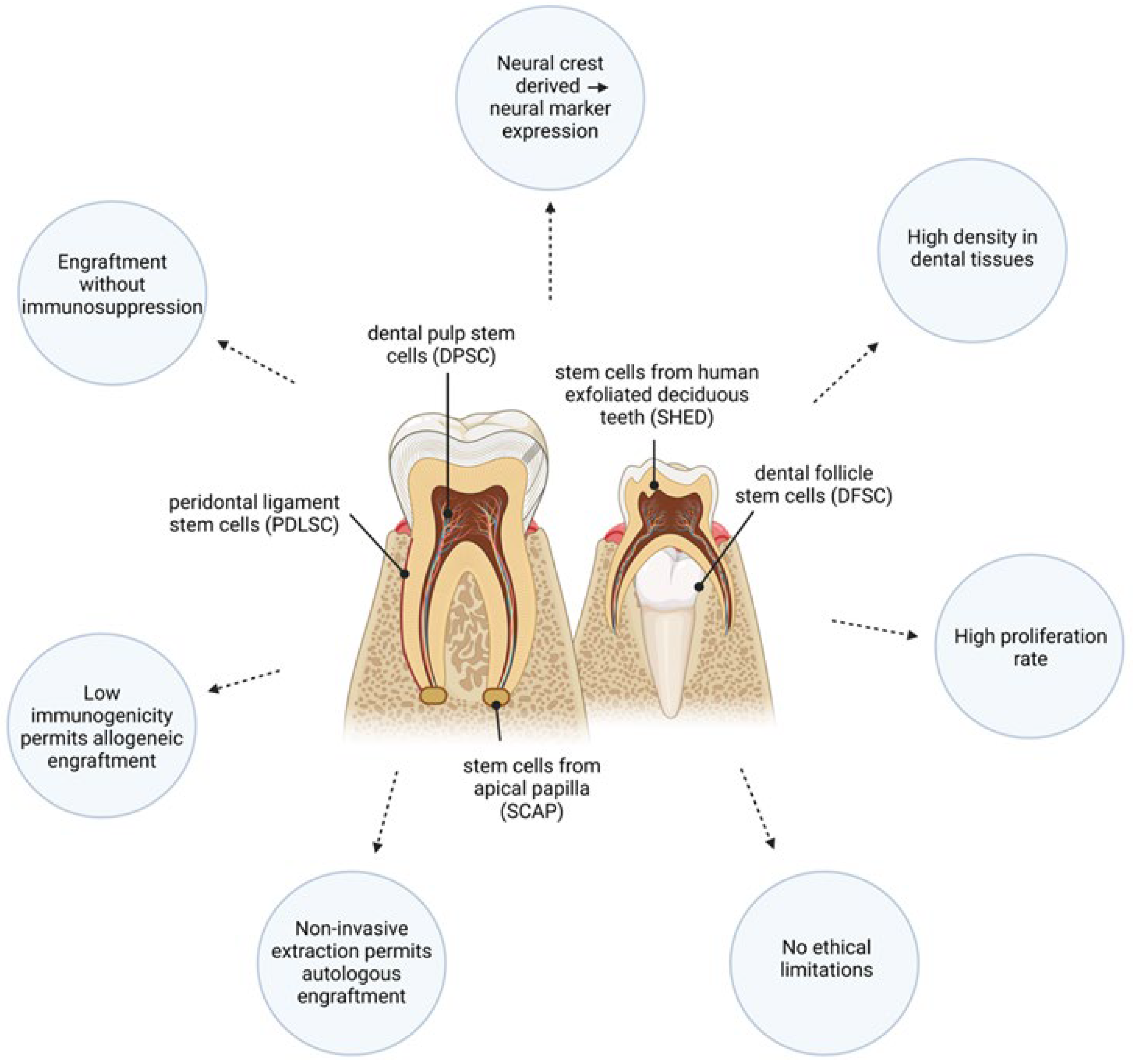 Cells 13 00817 g002 Cells 13 00817 g002
