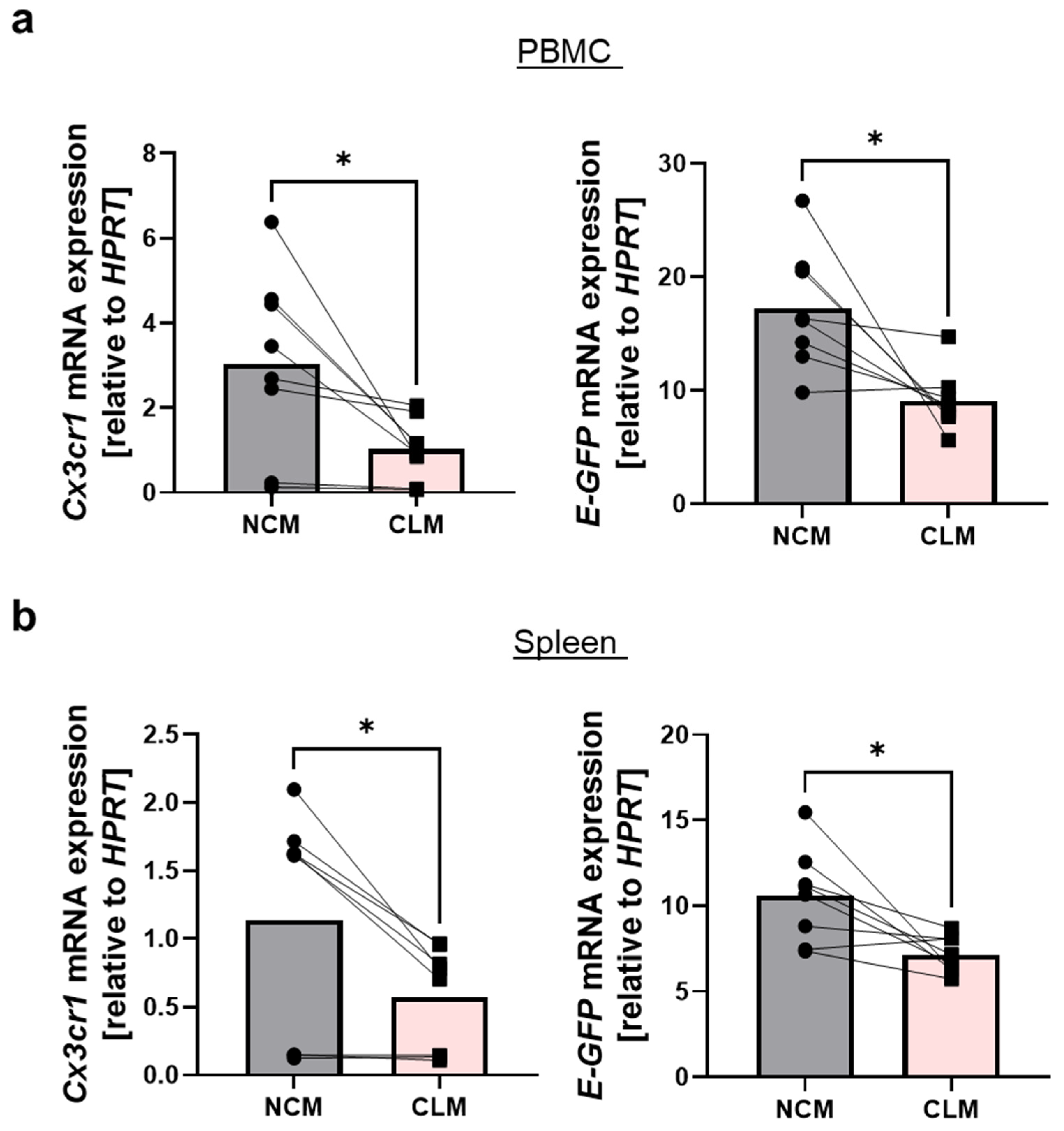 Cells 13 00819 g004 Cells 13 00819 g004