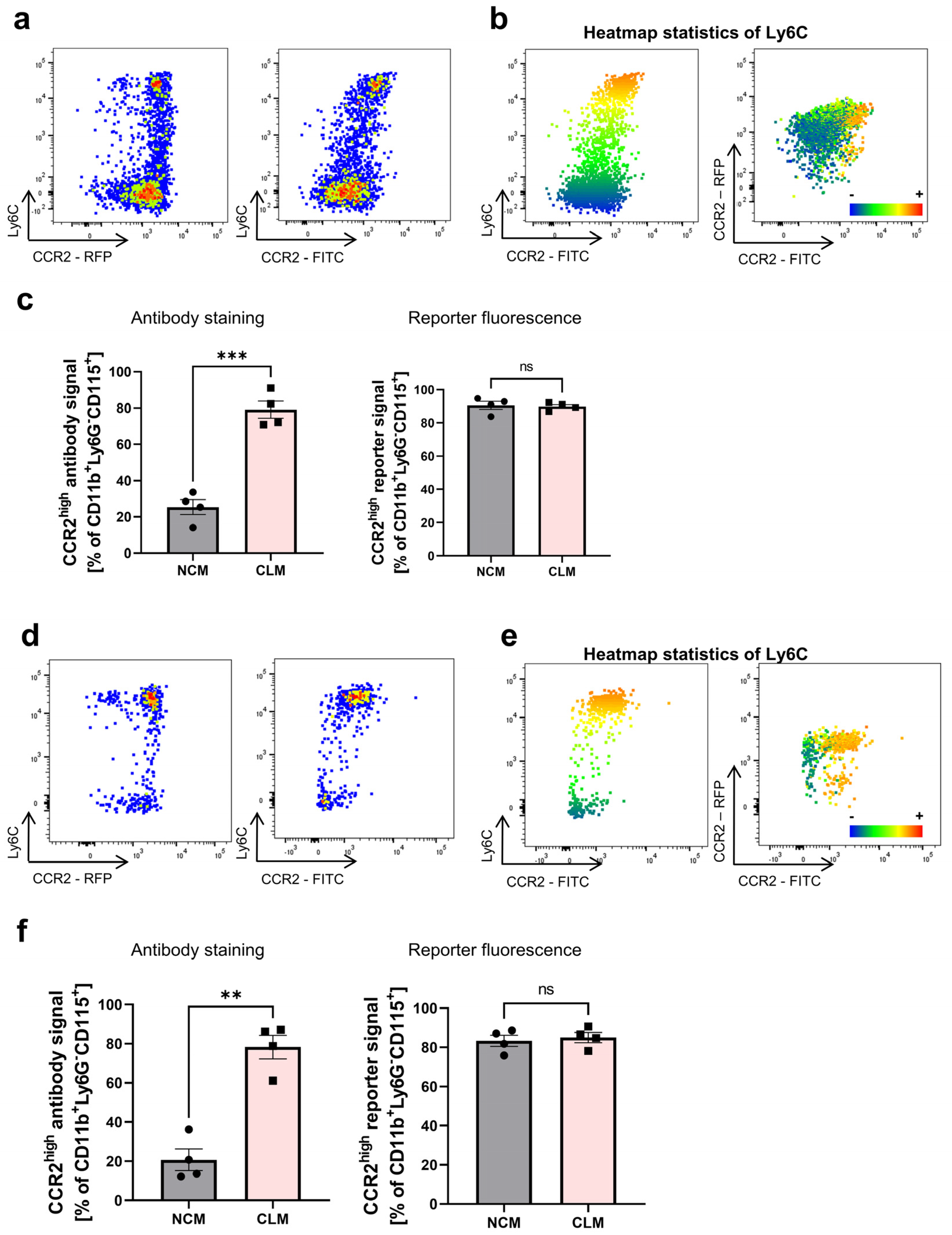 Cells 13 00819 g005 Cells 13 00819 g005
