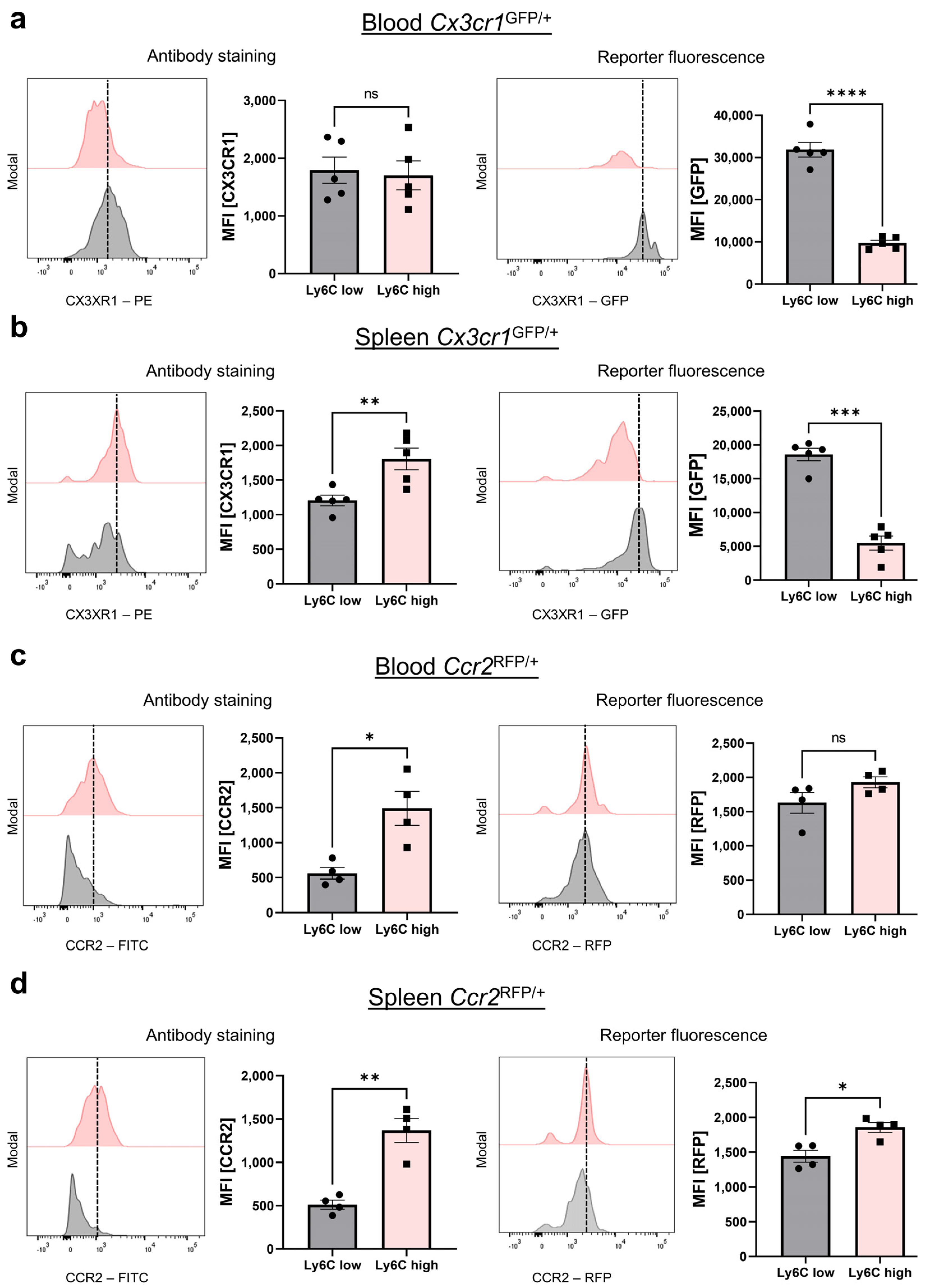 Cells 13 00819 g006 Cells 13 00819 g006