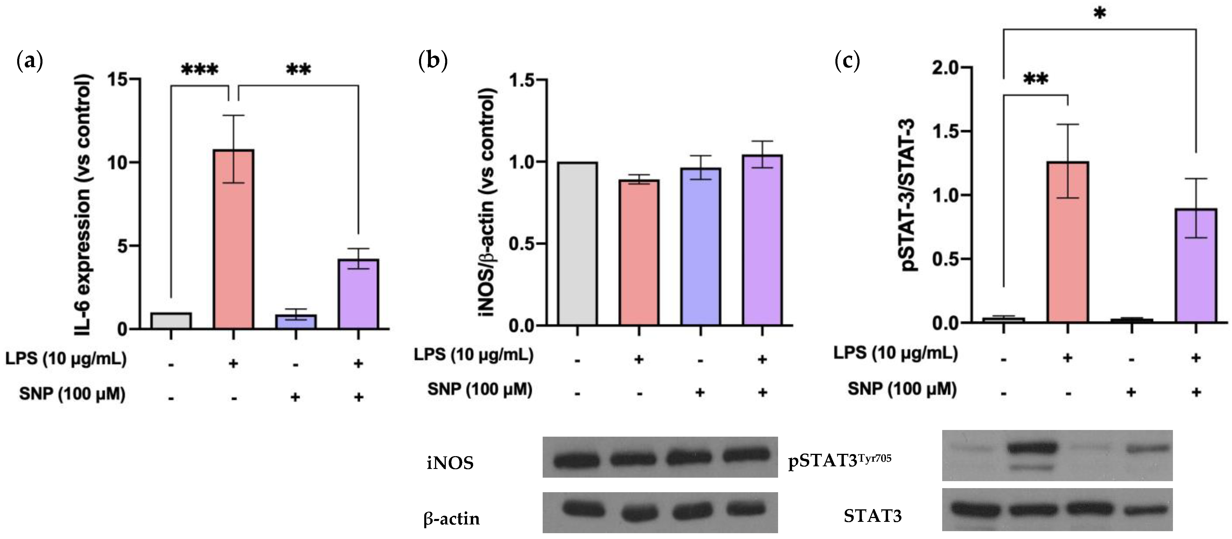 Cells 13 00843 g005 Cells 13 00843 g005