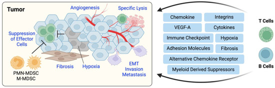 Mckee スーパーレアセット Racing at Baker, FL in 1996 - Vintage Karting Memories