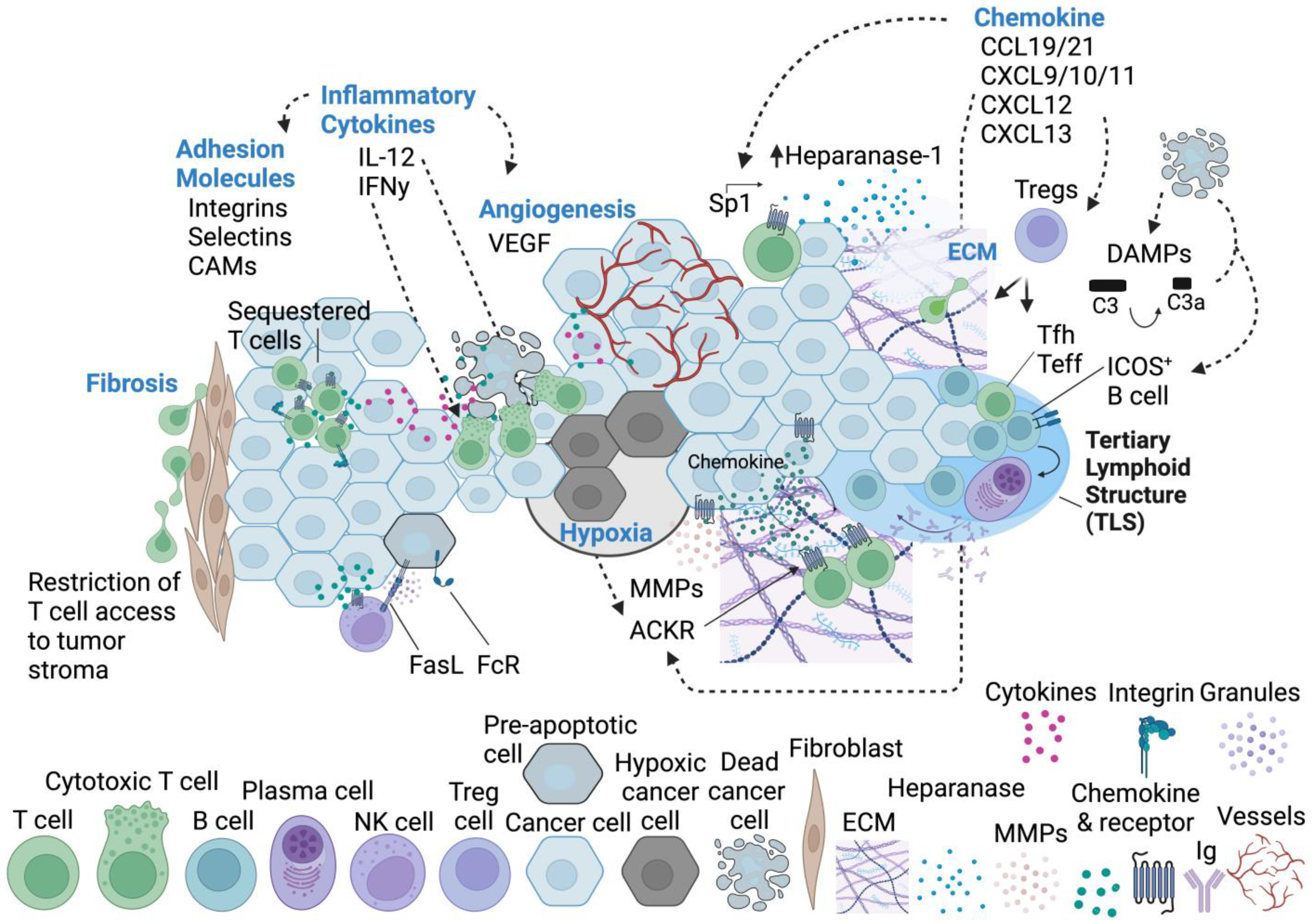 Cells 13 00844 g003 Cells 13 00844 g003