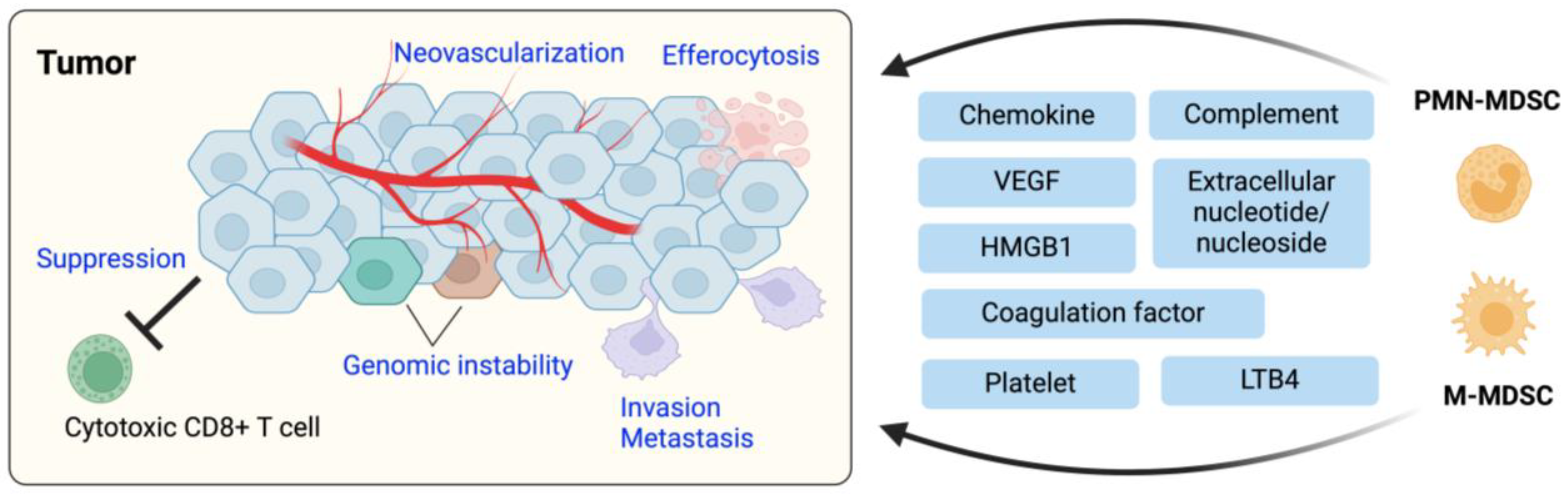 Cells 13 00844 g004 Cells 13 00844 g004