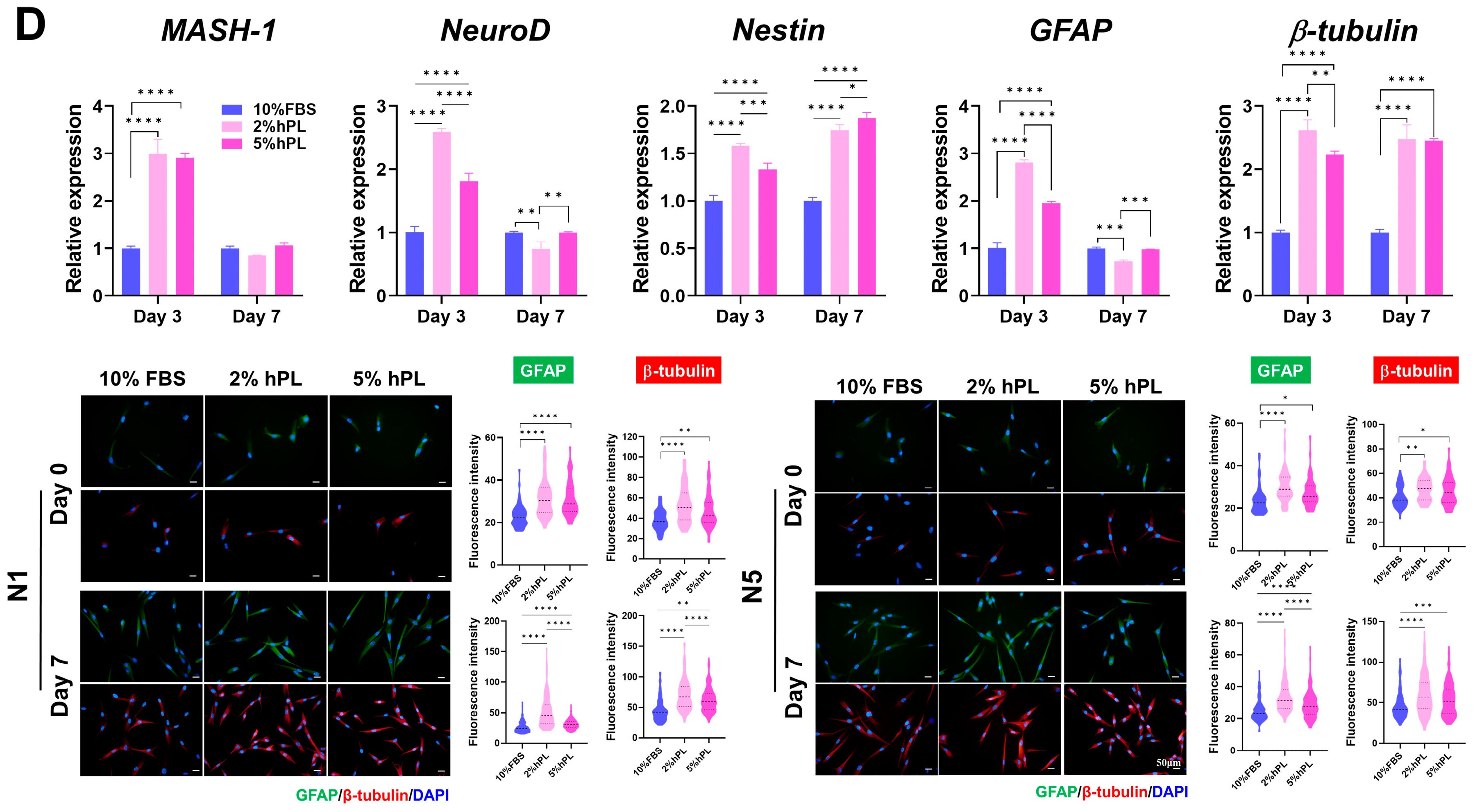 Cells 13 00847 g004b