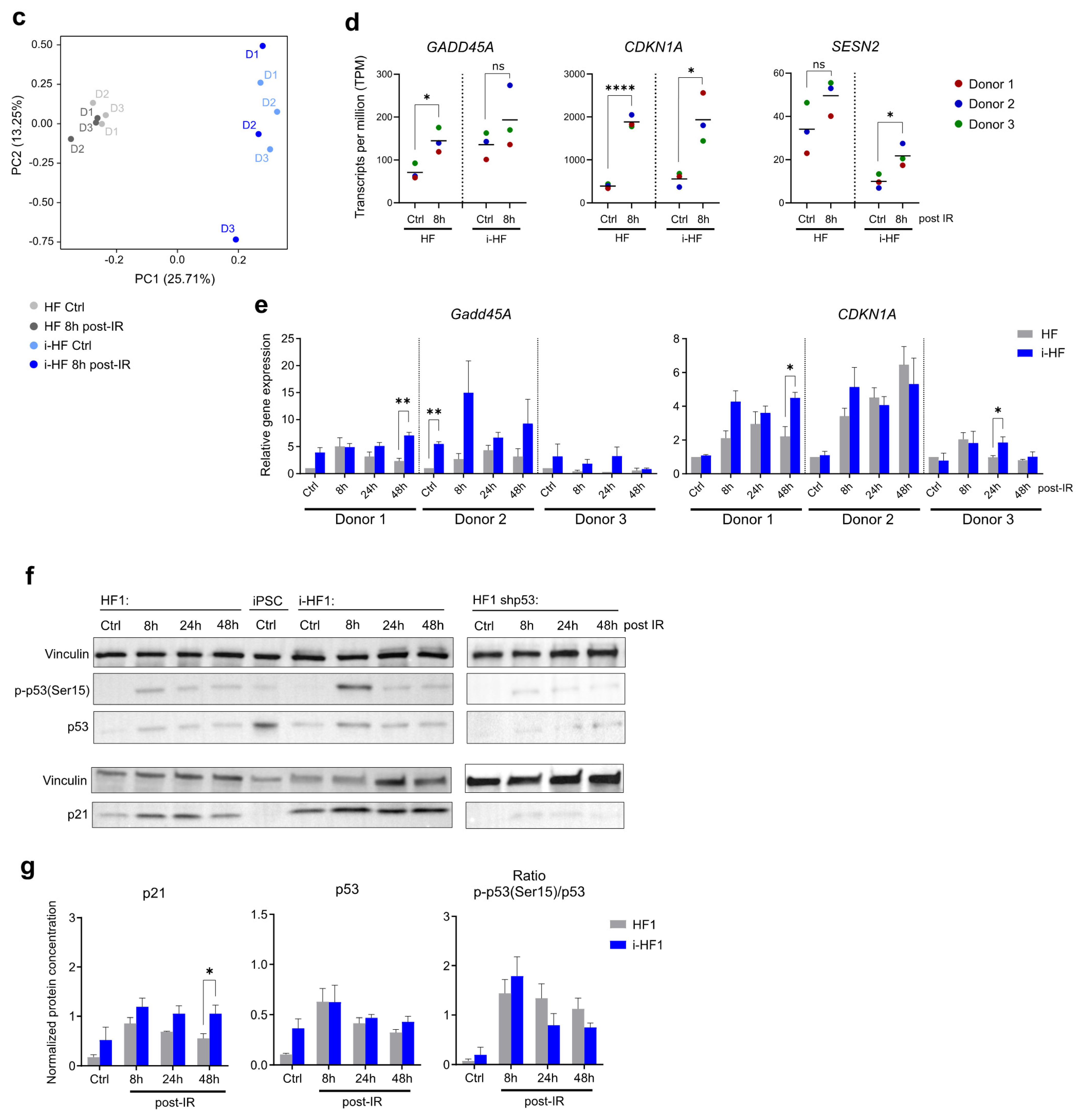 Cells 13 00849 g002b