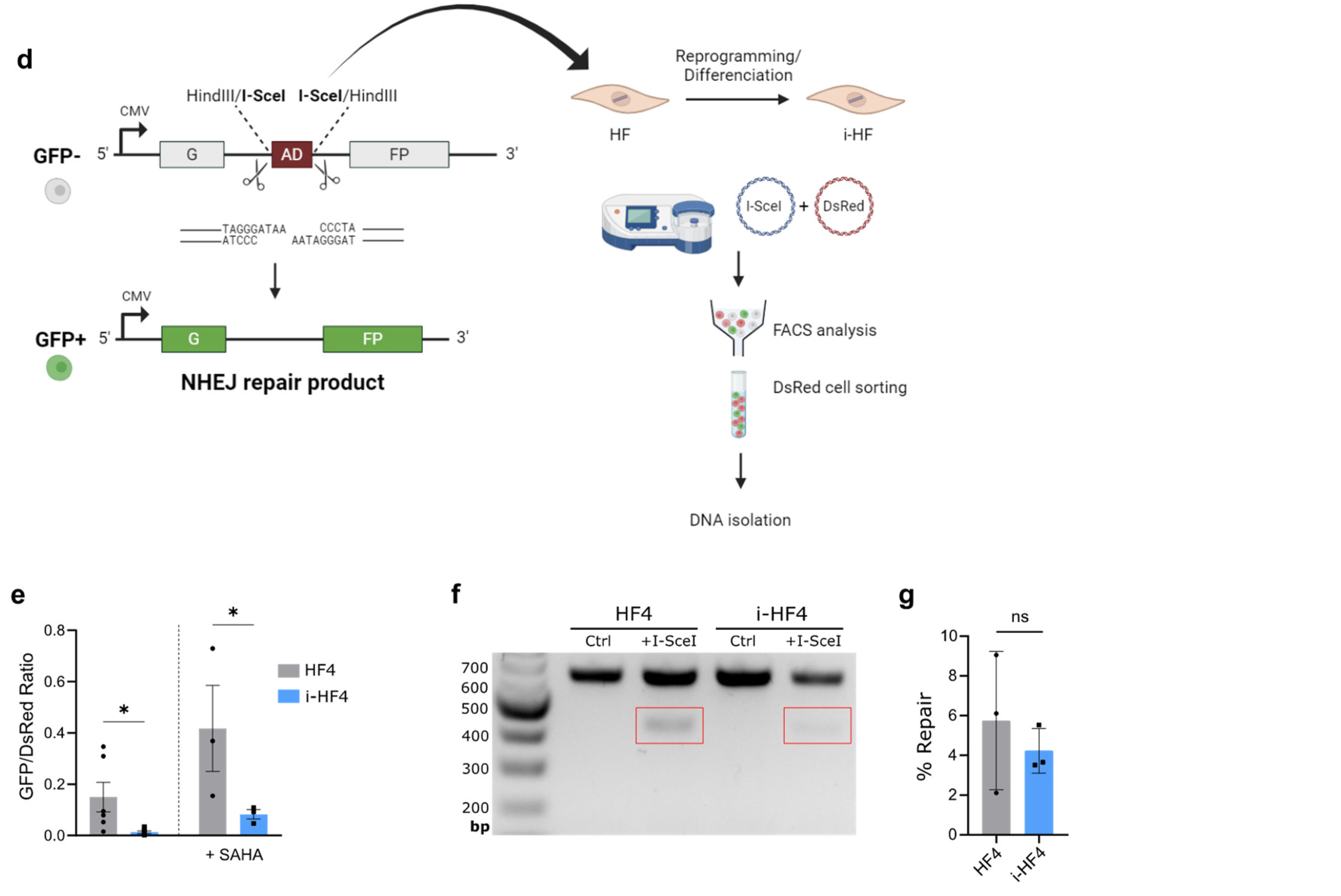 Cells 13 00849 g005b