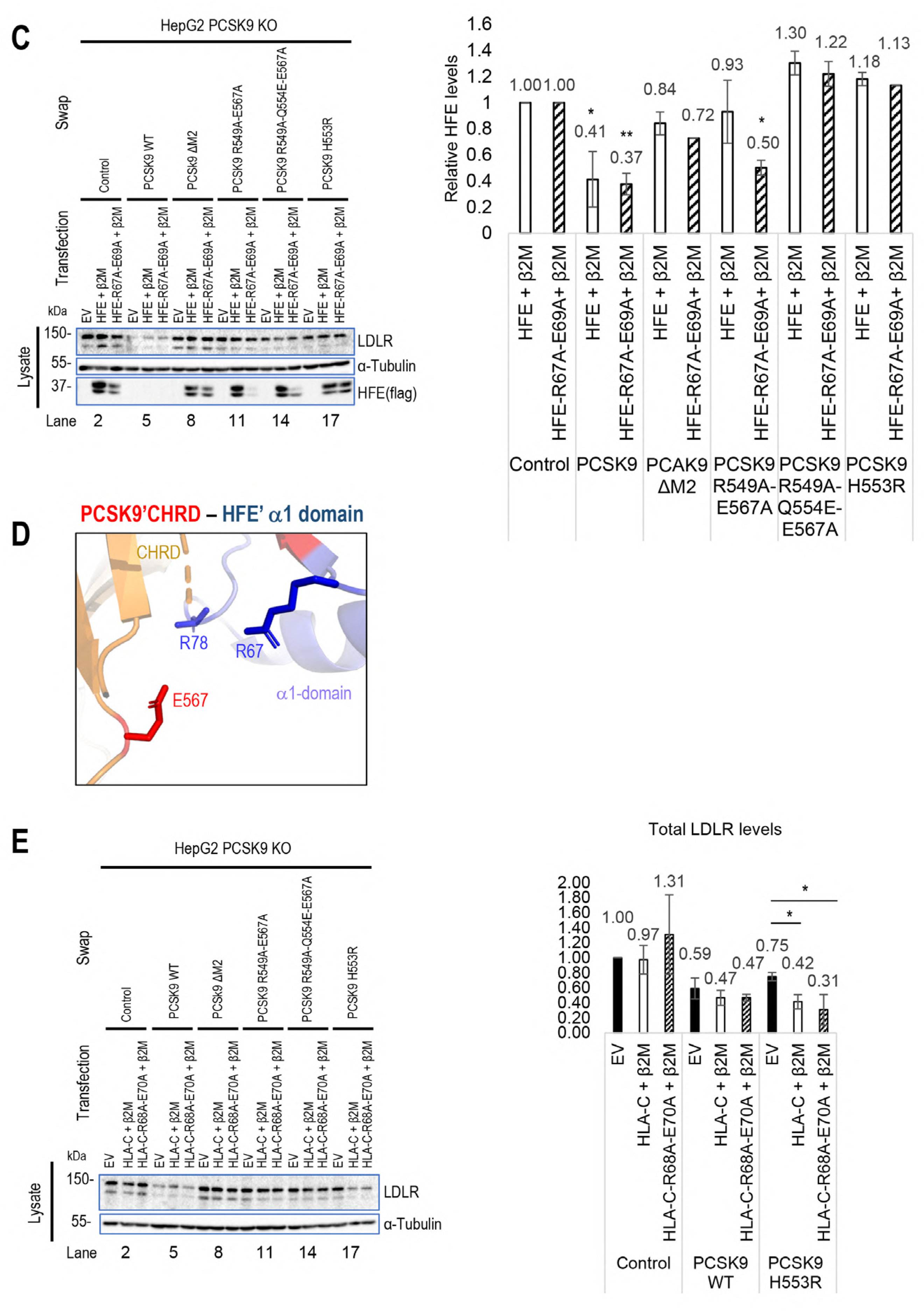 Cells 13 00857 g003b