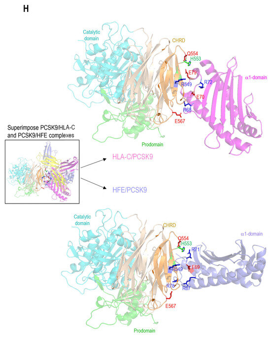 Insights into PCSK9-LDLR Regulation and Trafficking via the ...