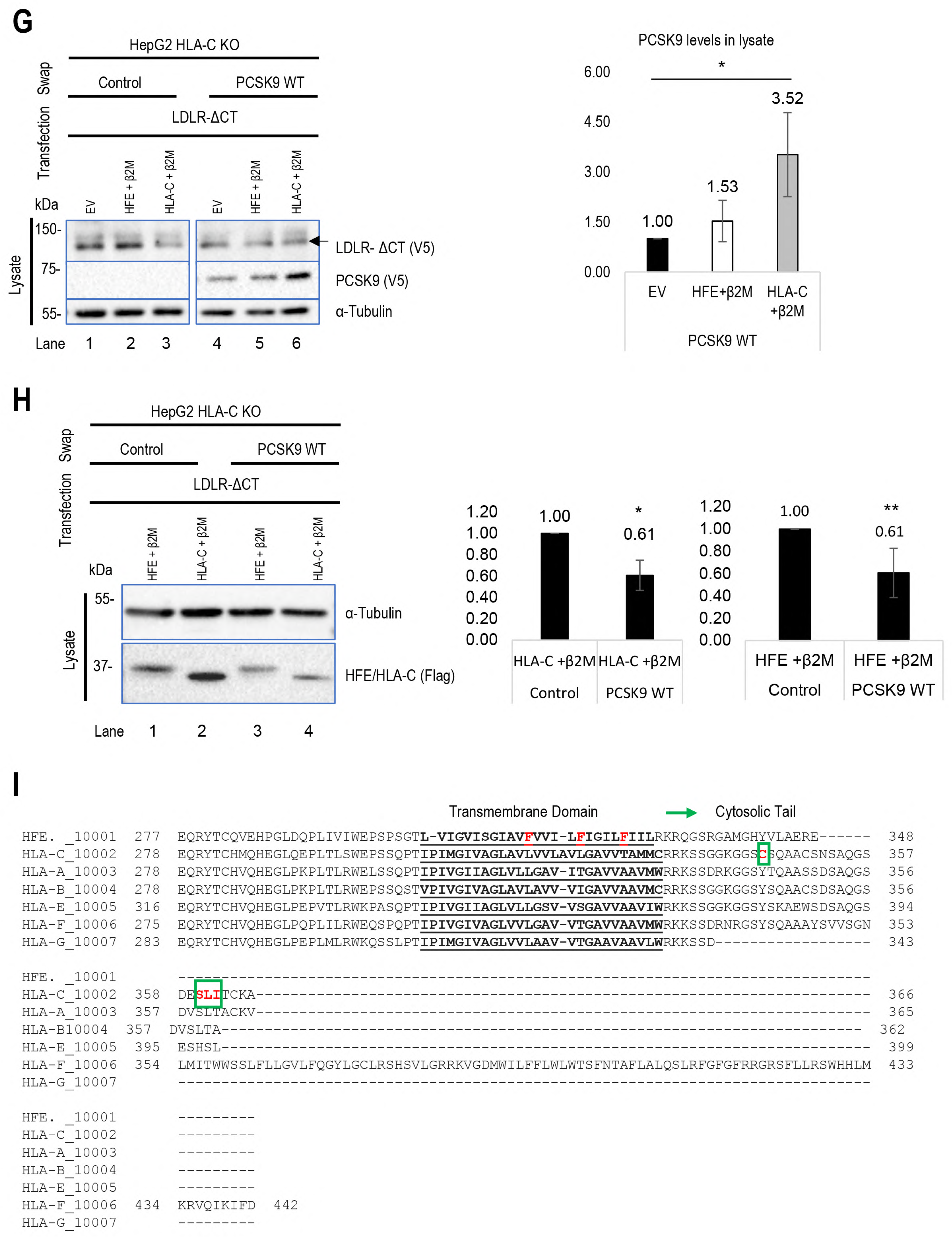 Cells 13 00857 g004b