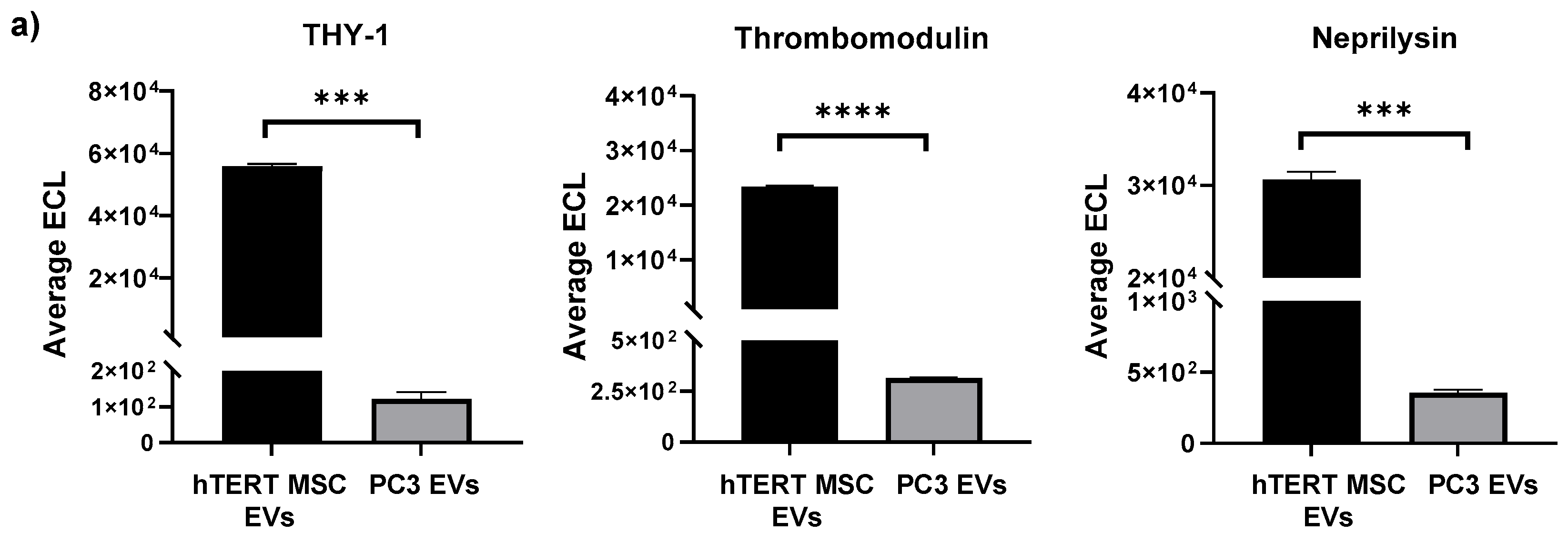 Cells 13 00861 g003a Cells 13 00861 g003a