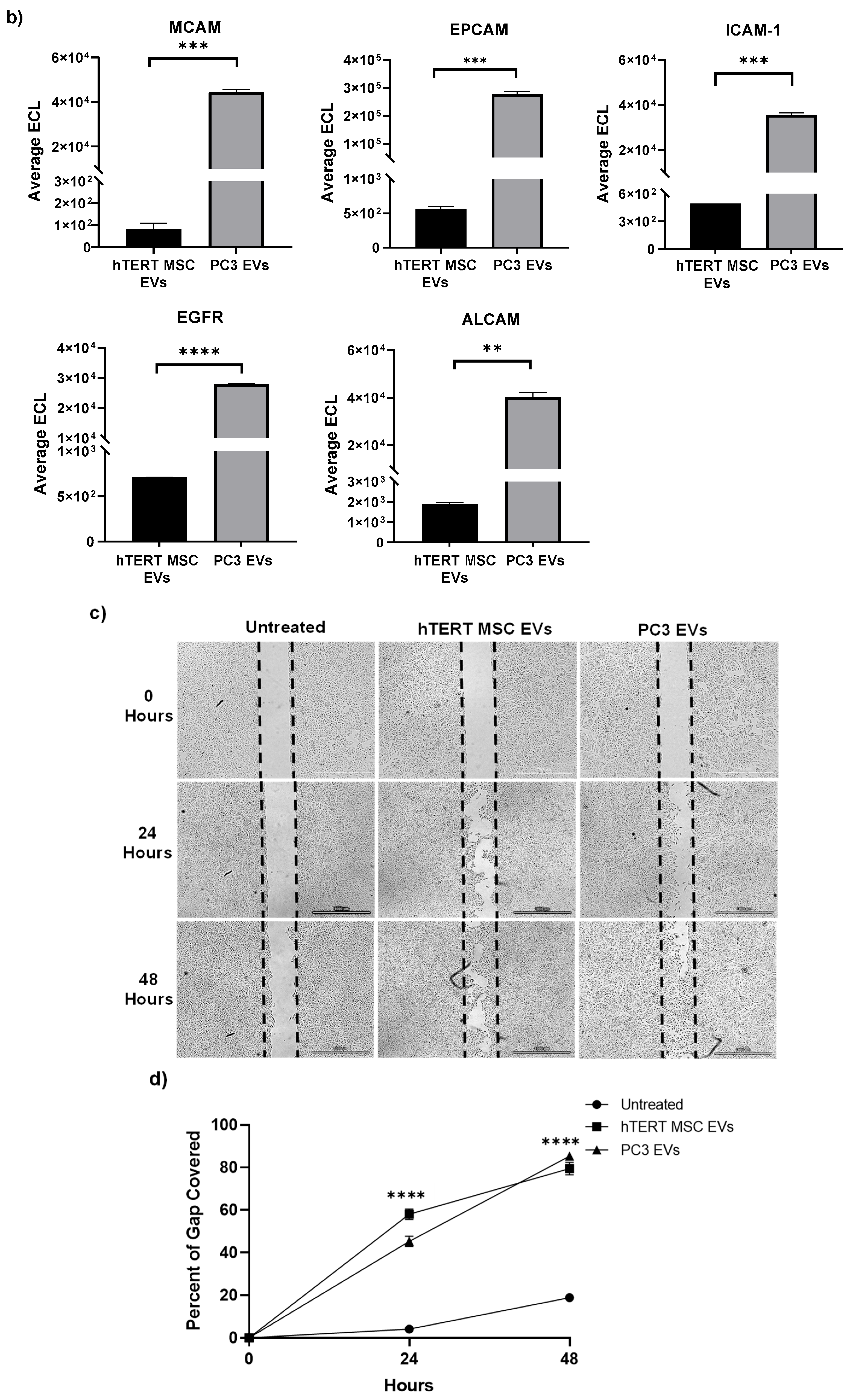 Cells 13 00861 g003b Cells 13 00861 g003b