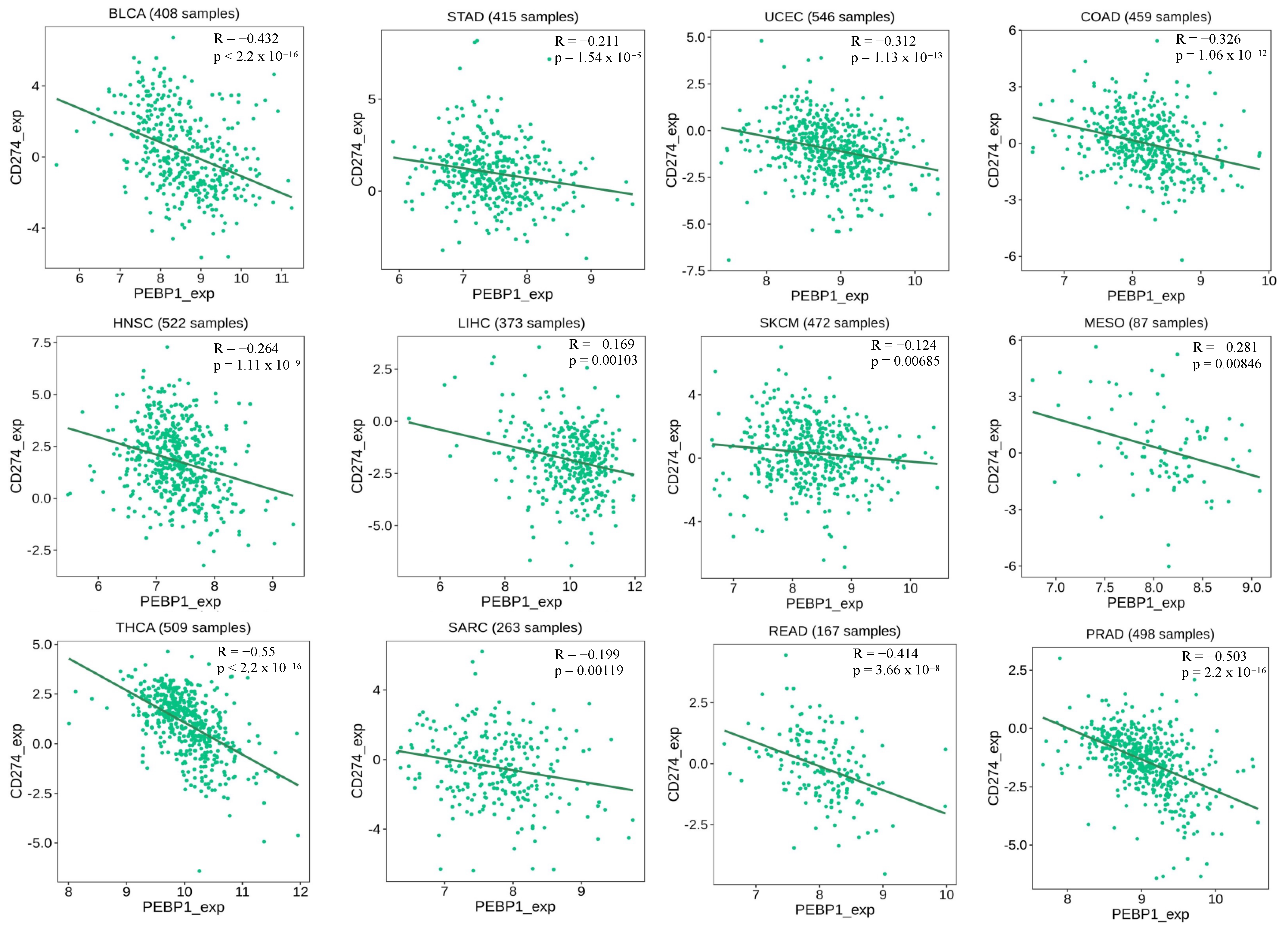 Cells 13 00864 g003 Cells 13 00864 g003