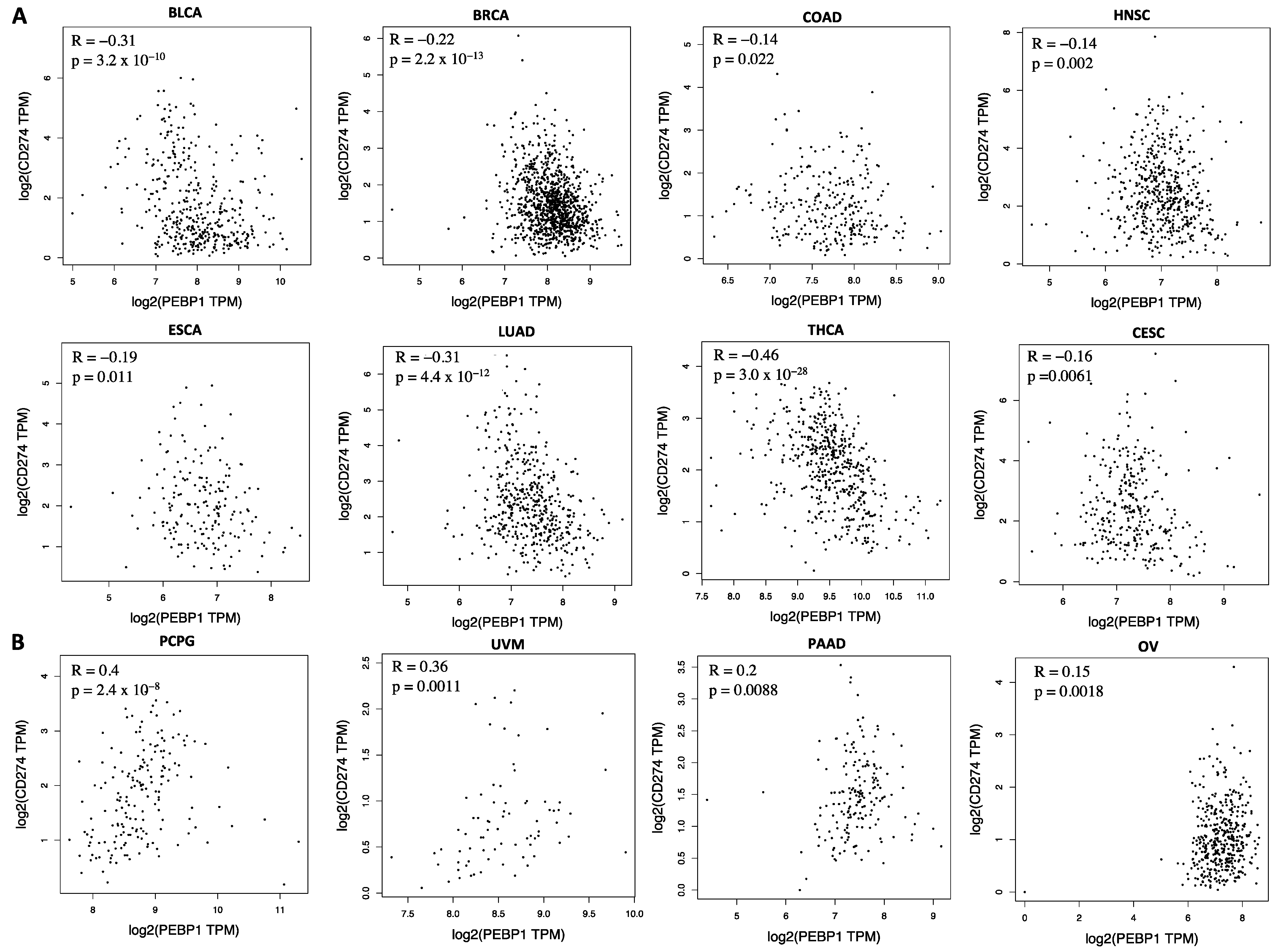 Cells 13 00864 g004 Cells 13 00864 g004